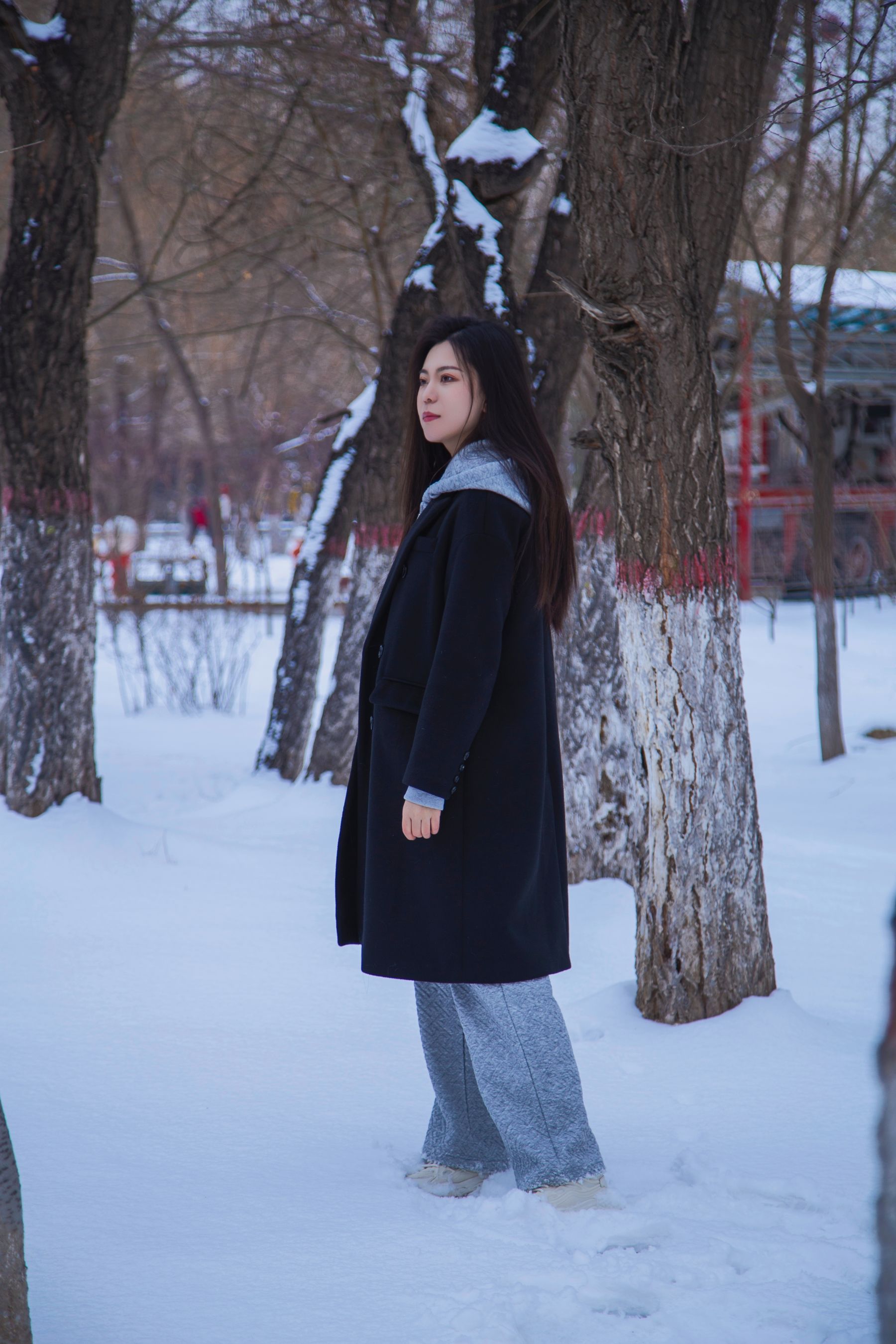 [织梦映像] 踏雪无痕-首次雪景拍摄，天寒地冻/(300P)