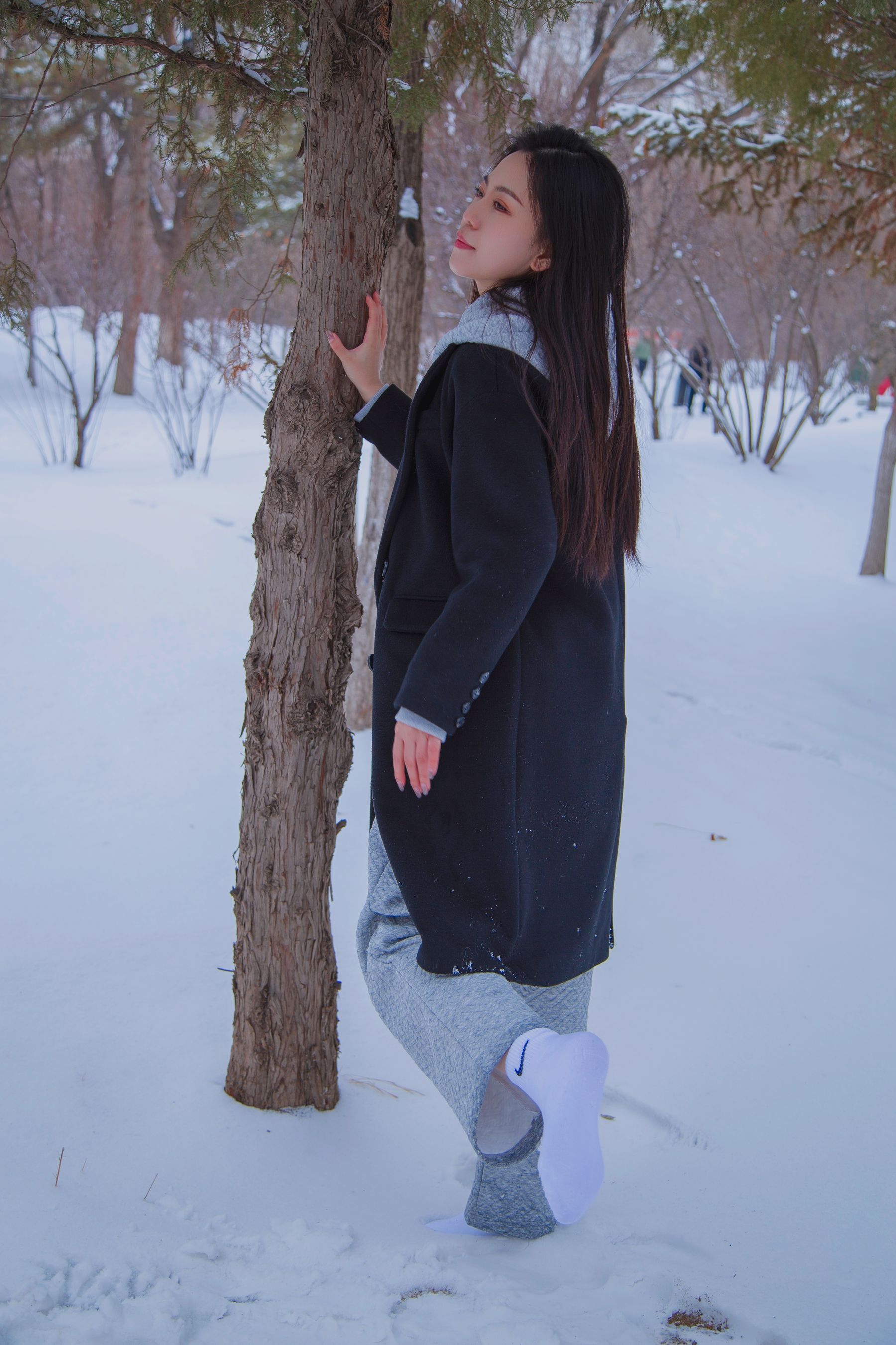 [织梦映像] 踏雪无痕-首次雪景拍摄，天寒地冻/(300P)