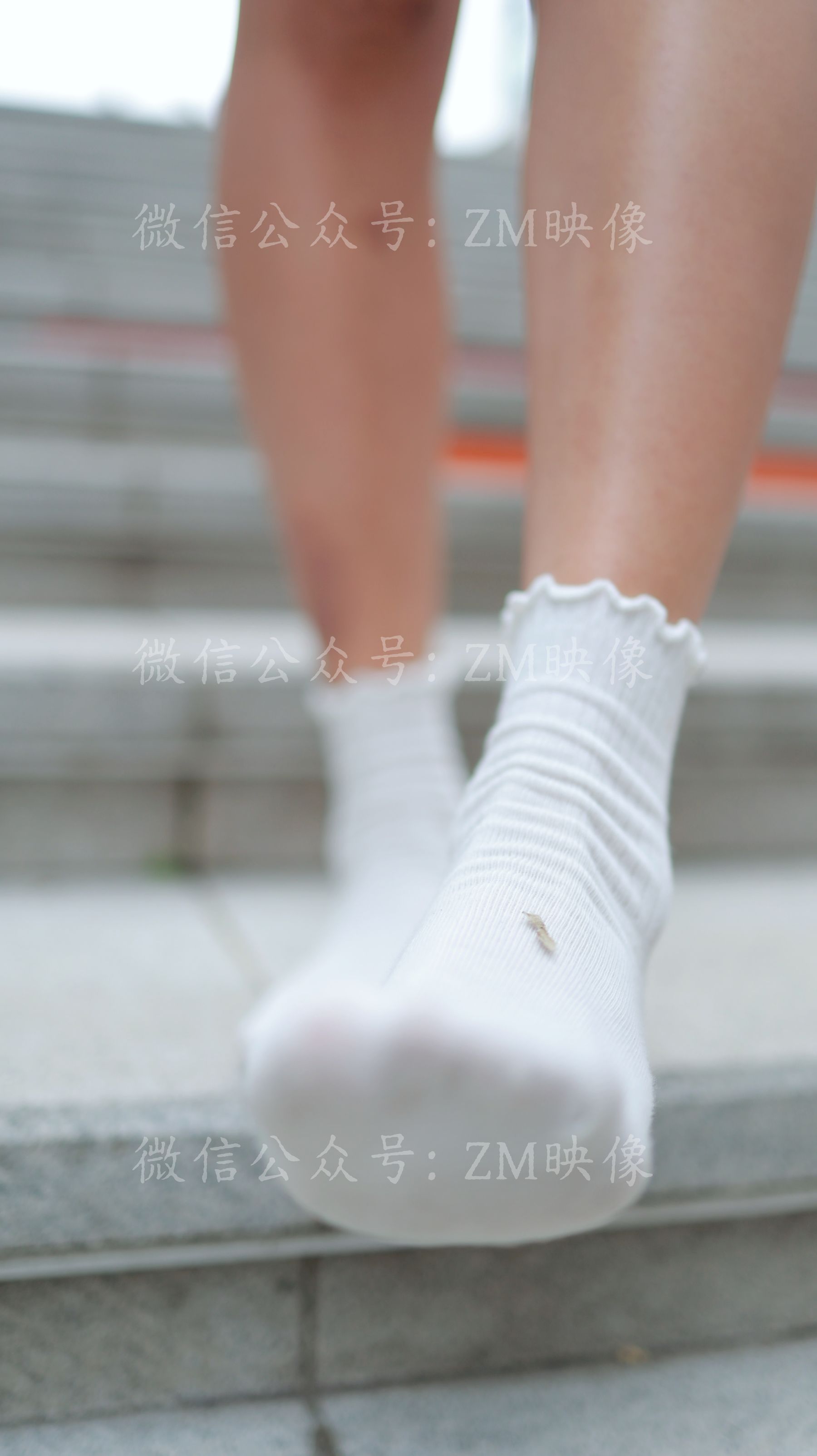 [织梦映像] 浮光掠影-无物可离虚壳外/(500P)