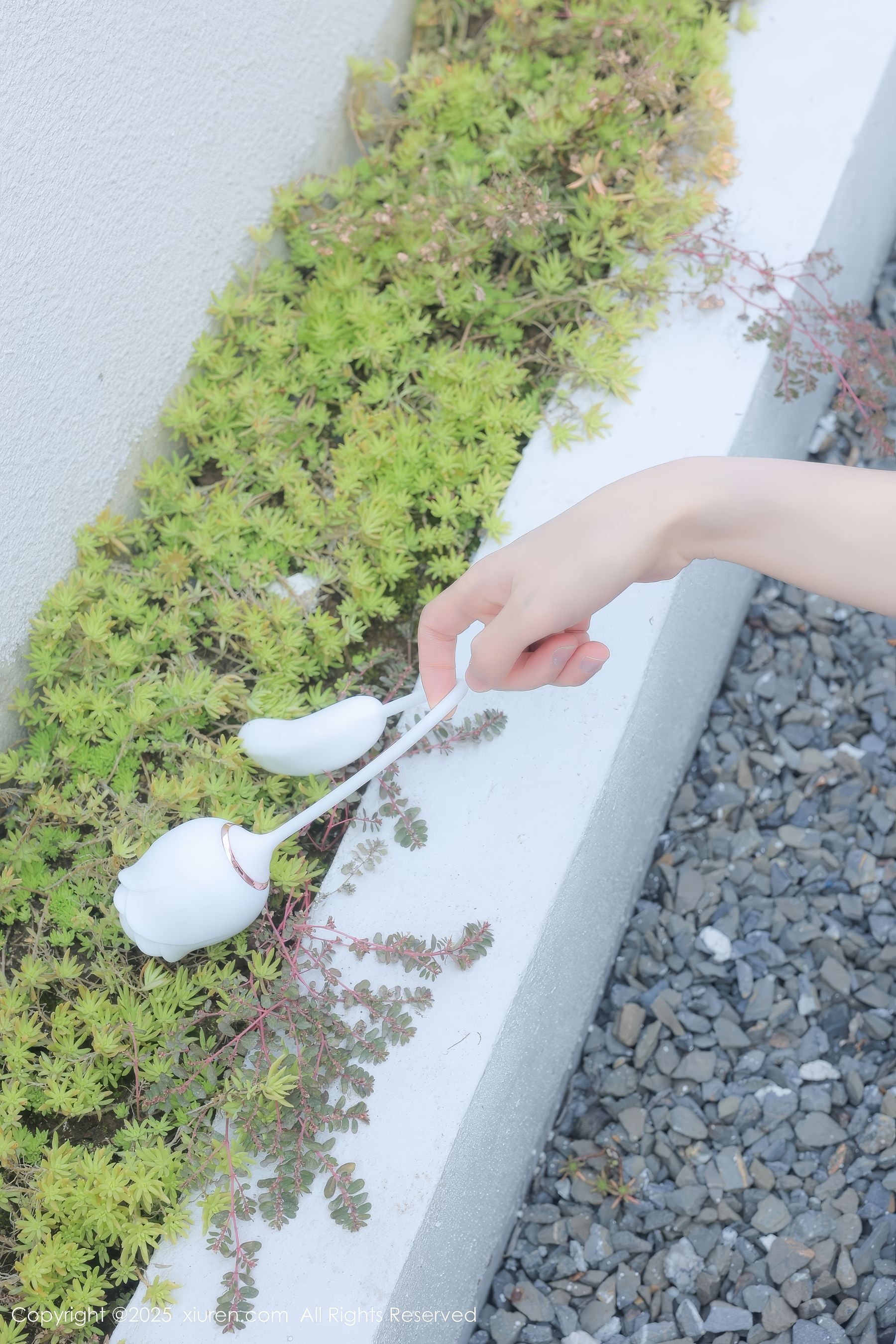 [秀人XiuRen] 2025.02.07 No.9851 桃妖夭/(113P)