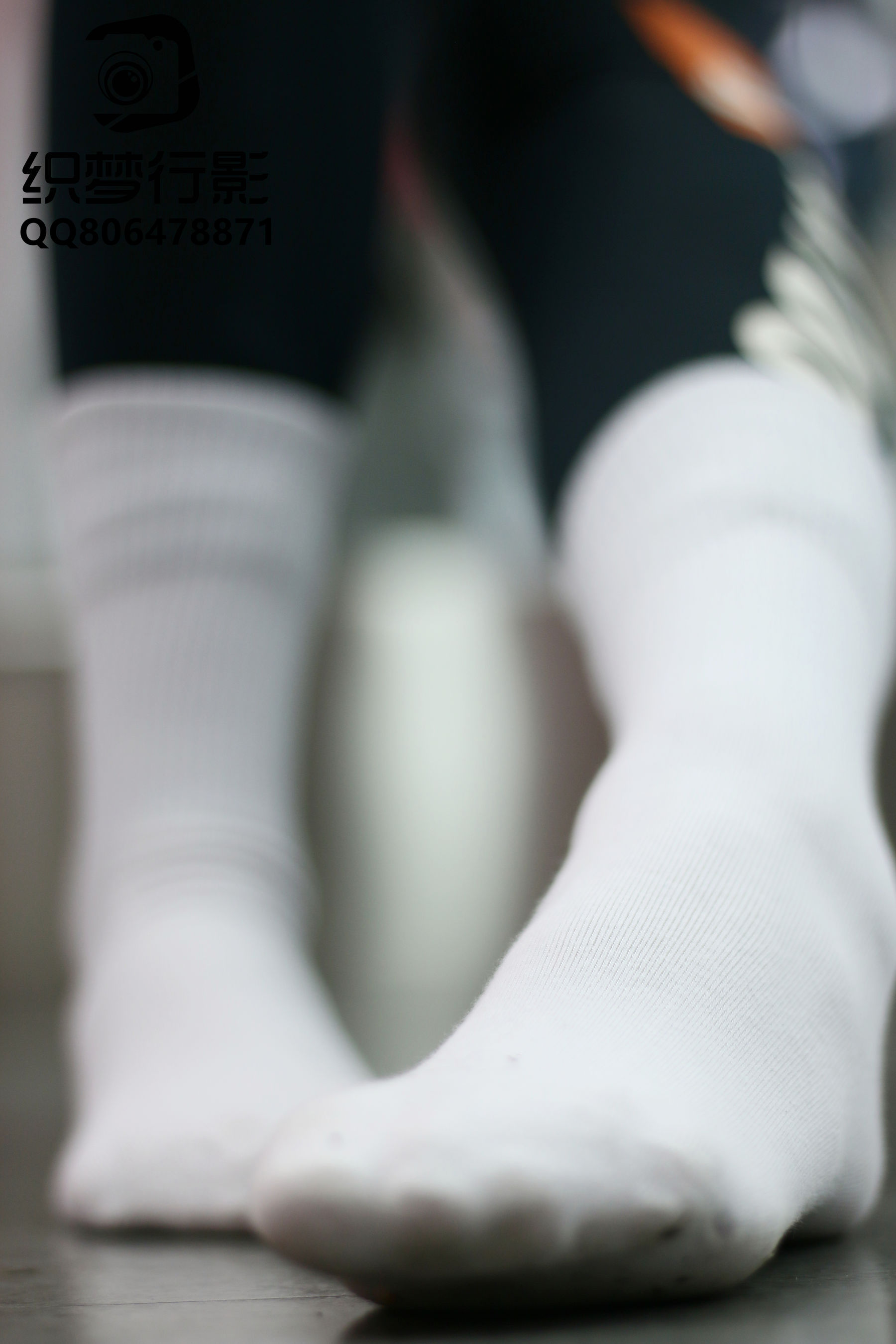 [织梦映像] 改变自己-灼若芙蕖出渌波/(303P)