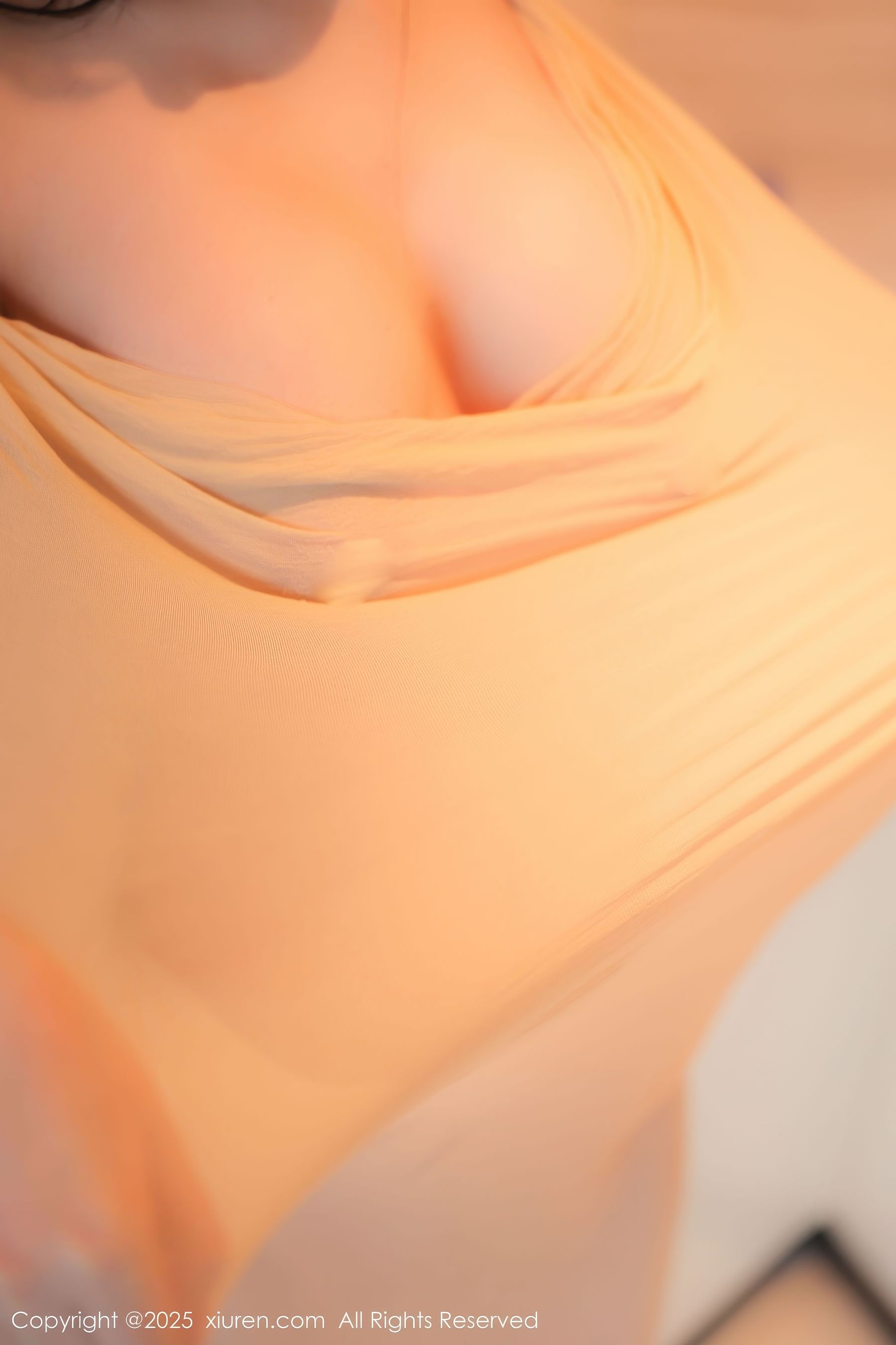 [秀人XiuRen] 2025.01.26 No.9825 余安安/(83P)