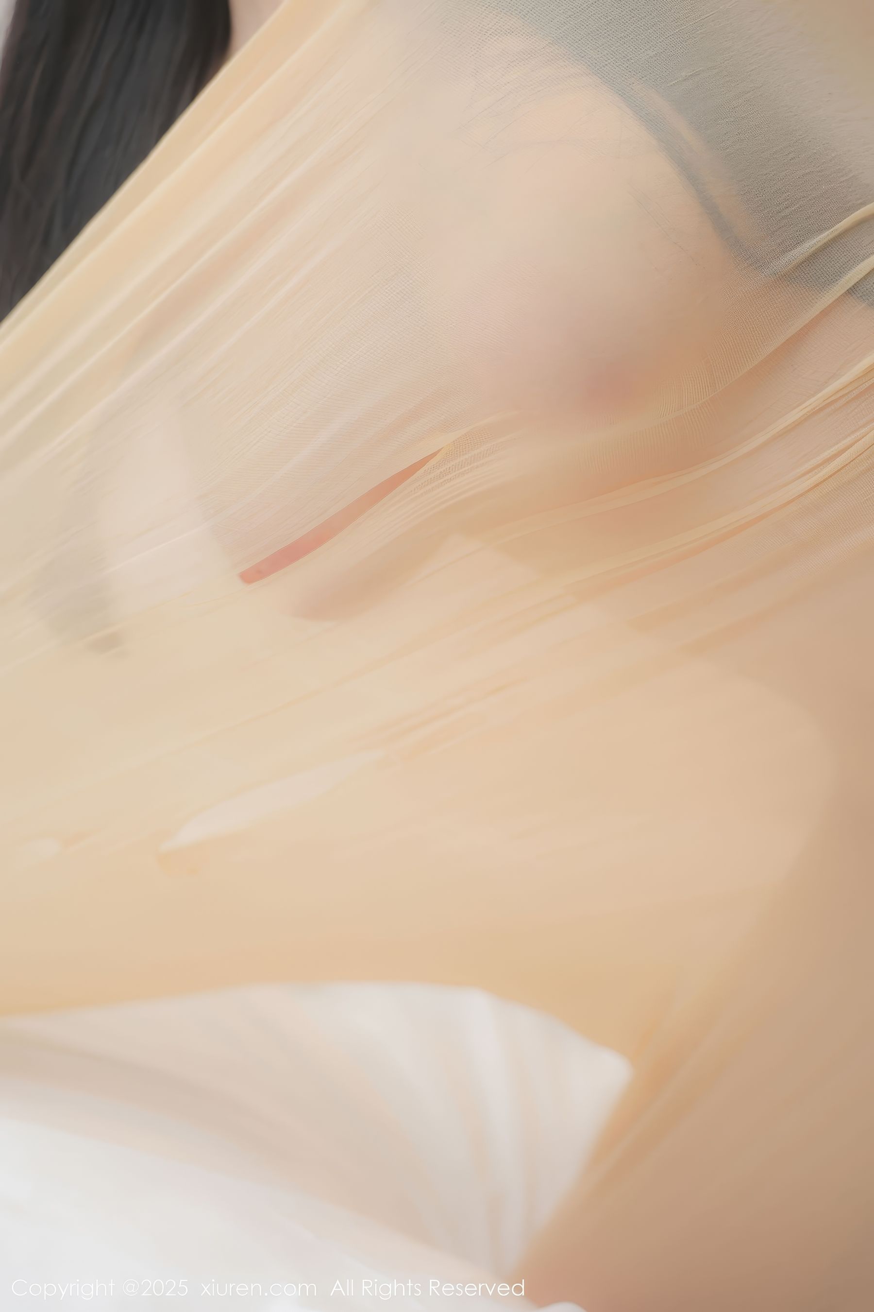 [秀人XiuRen] 2025.01.26 No.9825 余安安/(83P)