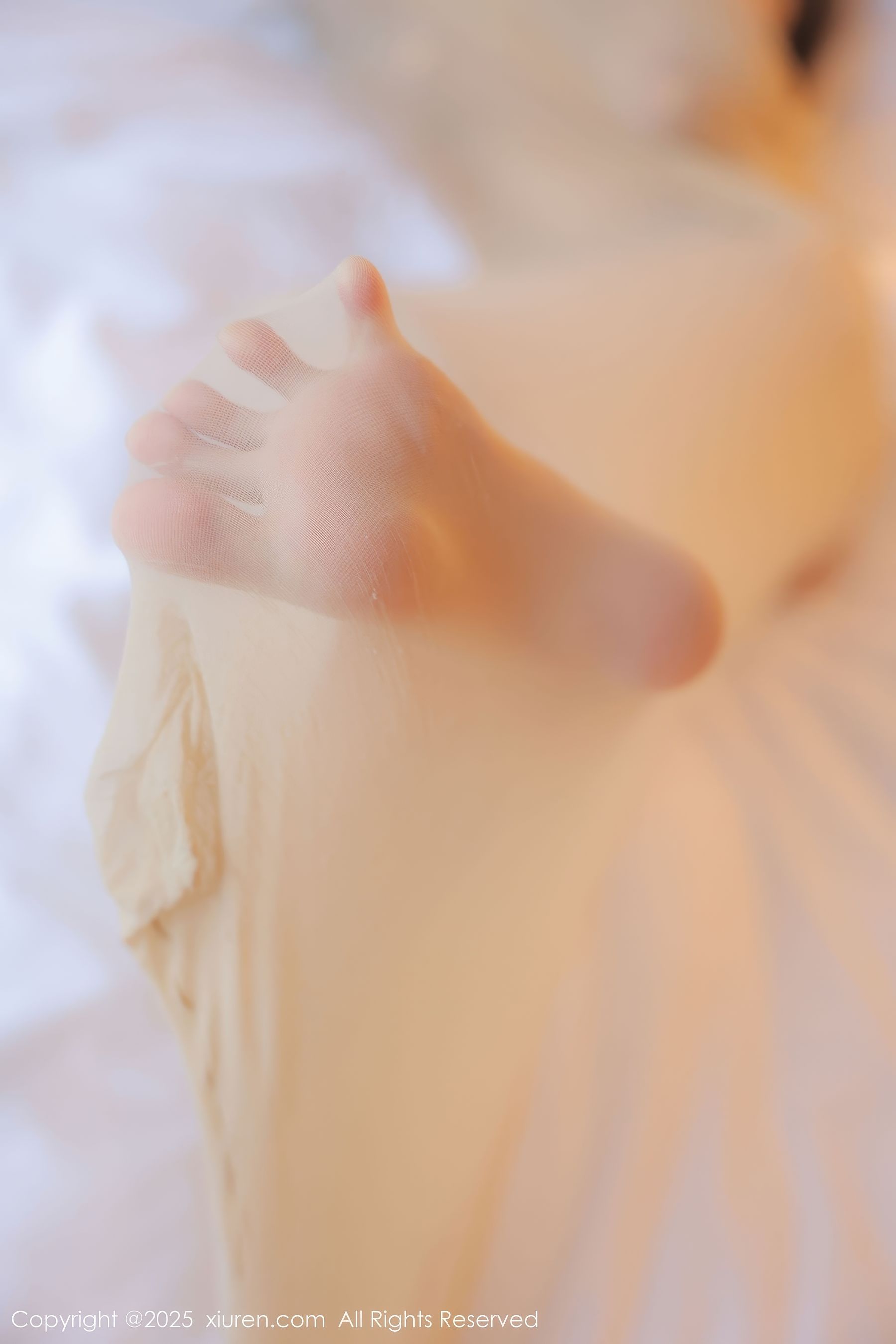 [秀人XiuRen] 2025.01.26 No.9825 余安安/(83P)