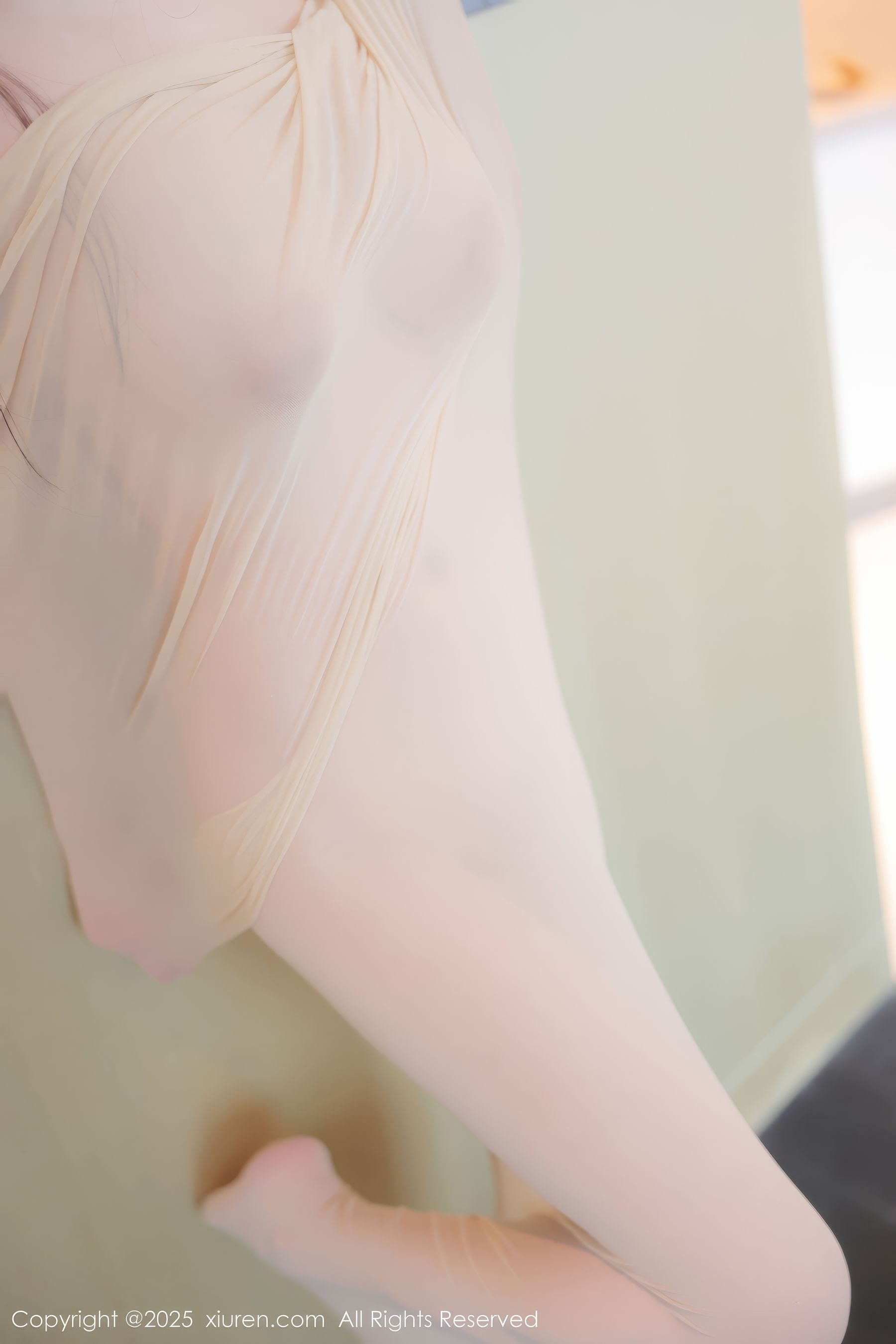 [秀人XiuRen] 2025.01.26 No.9825 余安安/(83P)