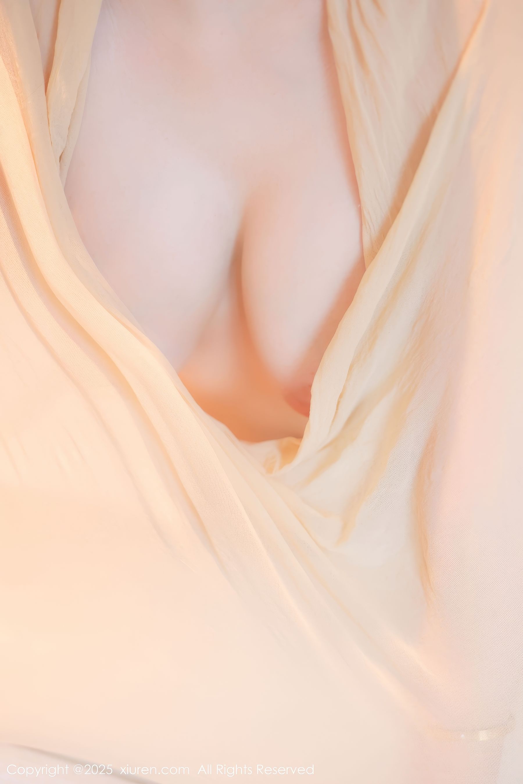 [秀人XiuRen] 2025.01.26 No.9825 余安安/(83P)