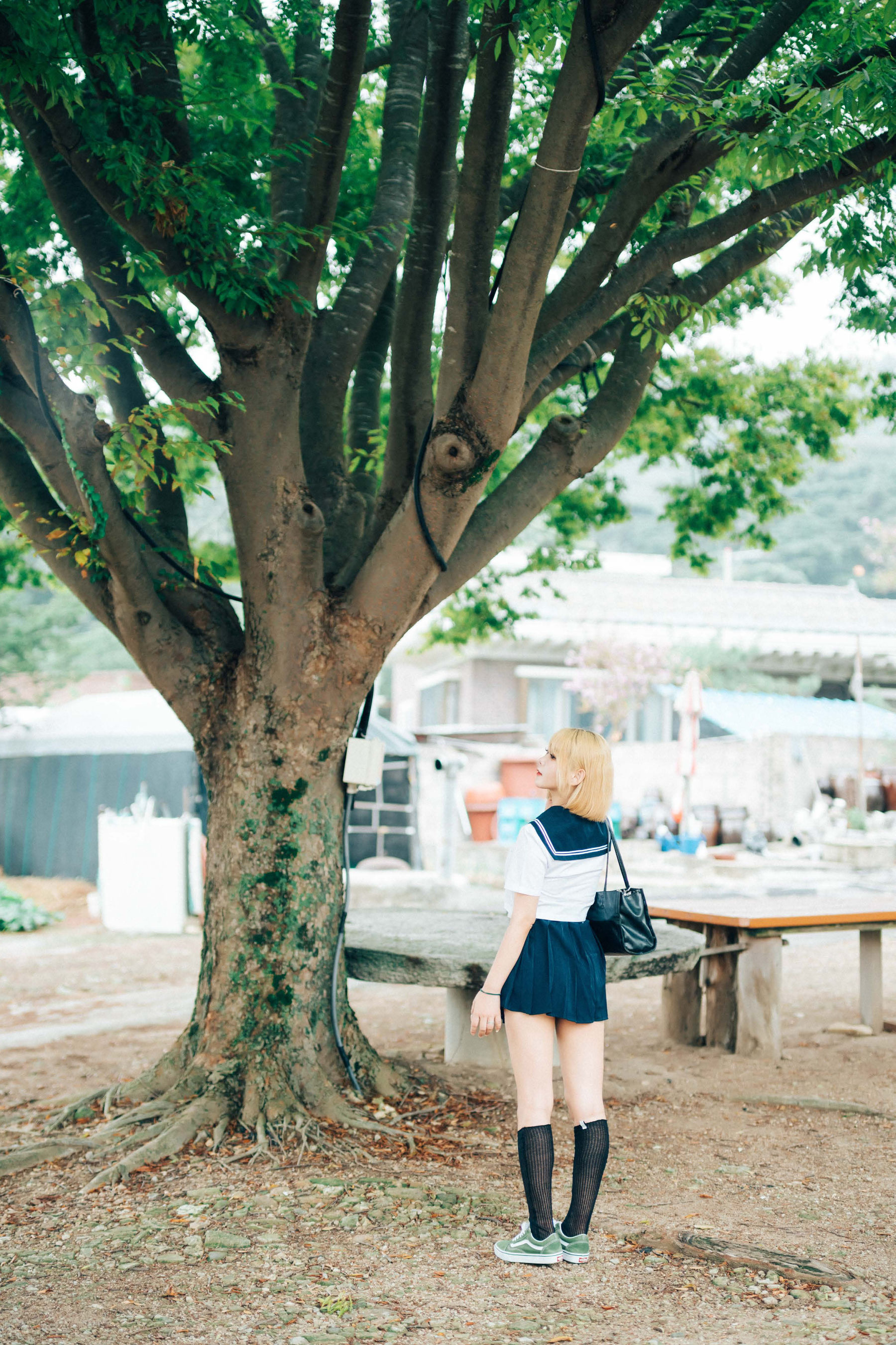 Haivia Zia - Summer Memories/(54P)