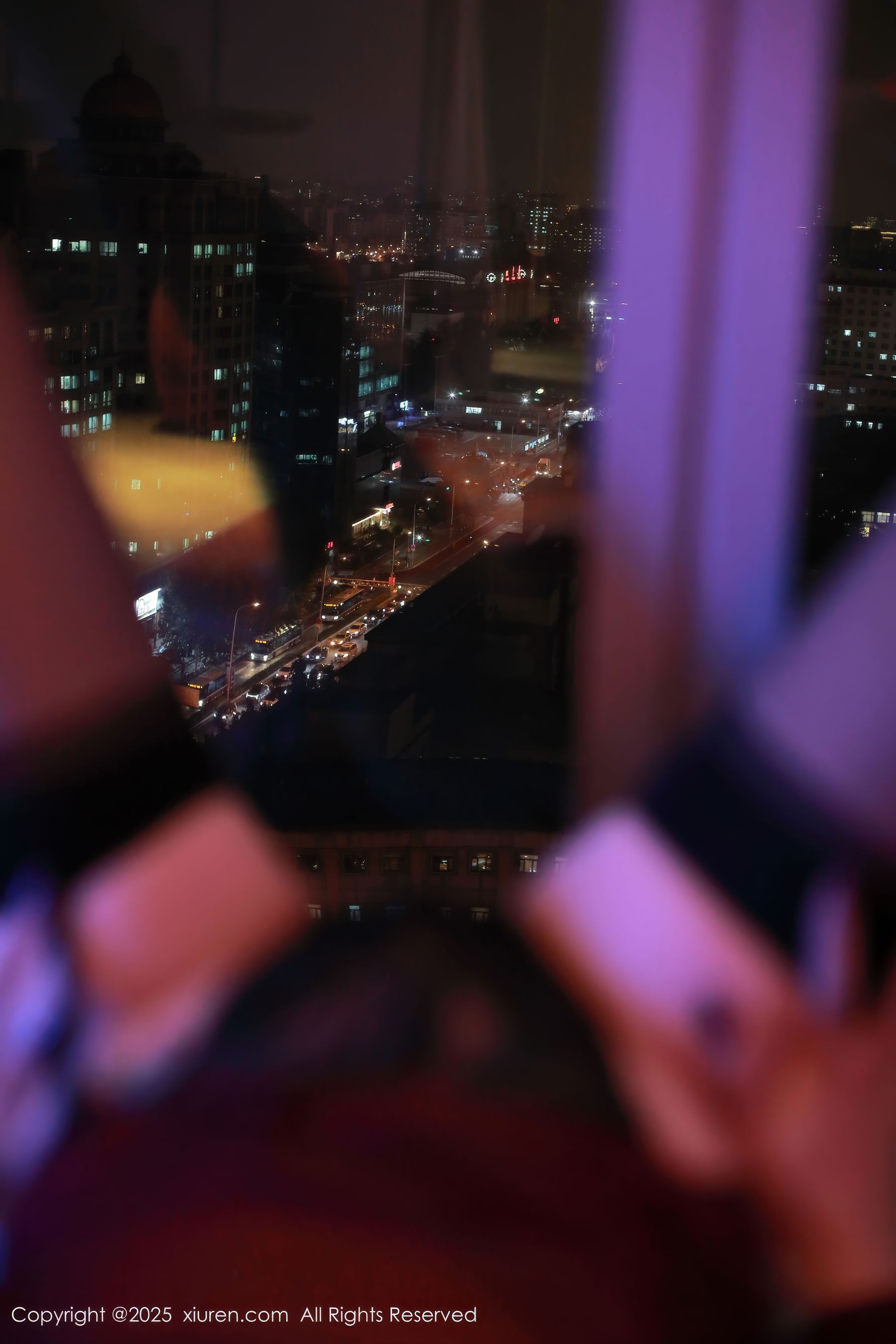 [秀人XiuRen] 2025.03.06 No.9973 田冰冰/(53P)