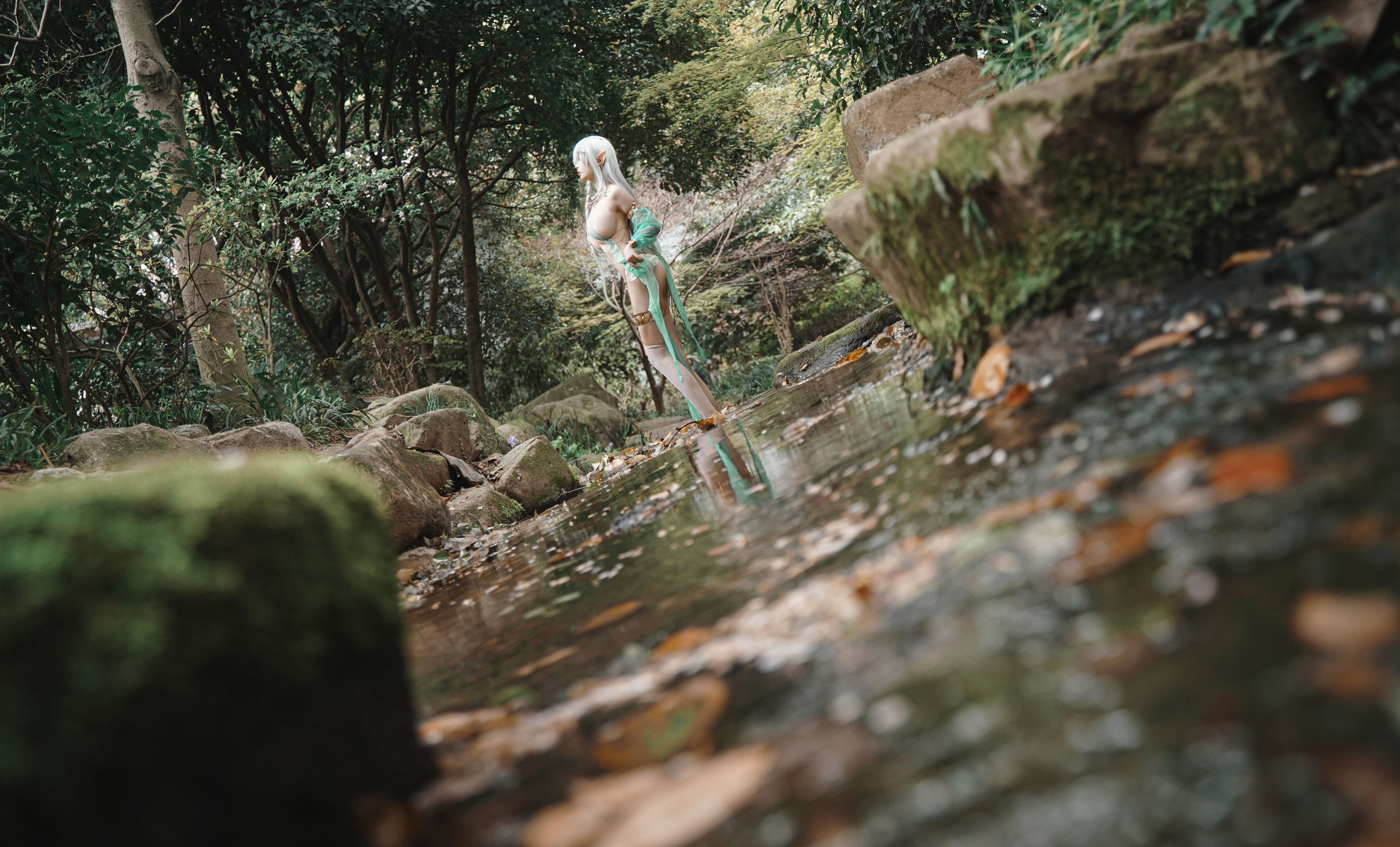 动漫博主 爱老师_PhD - 大慈树王/(50P)