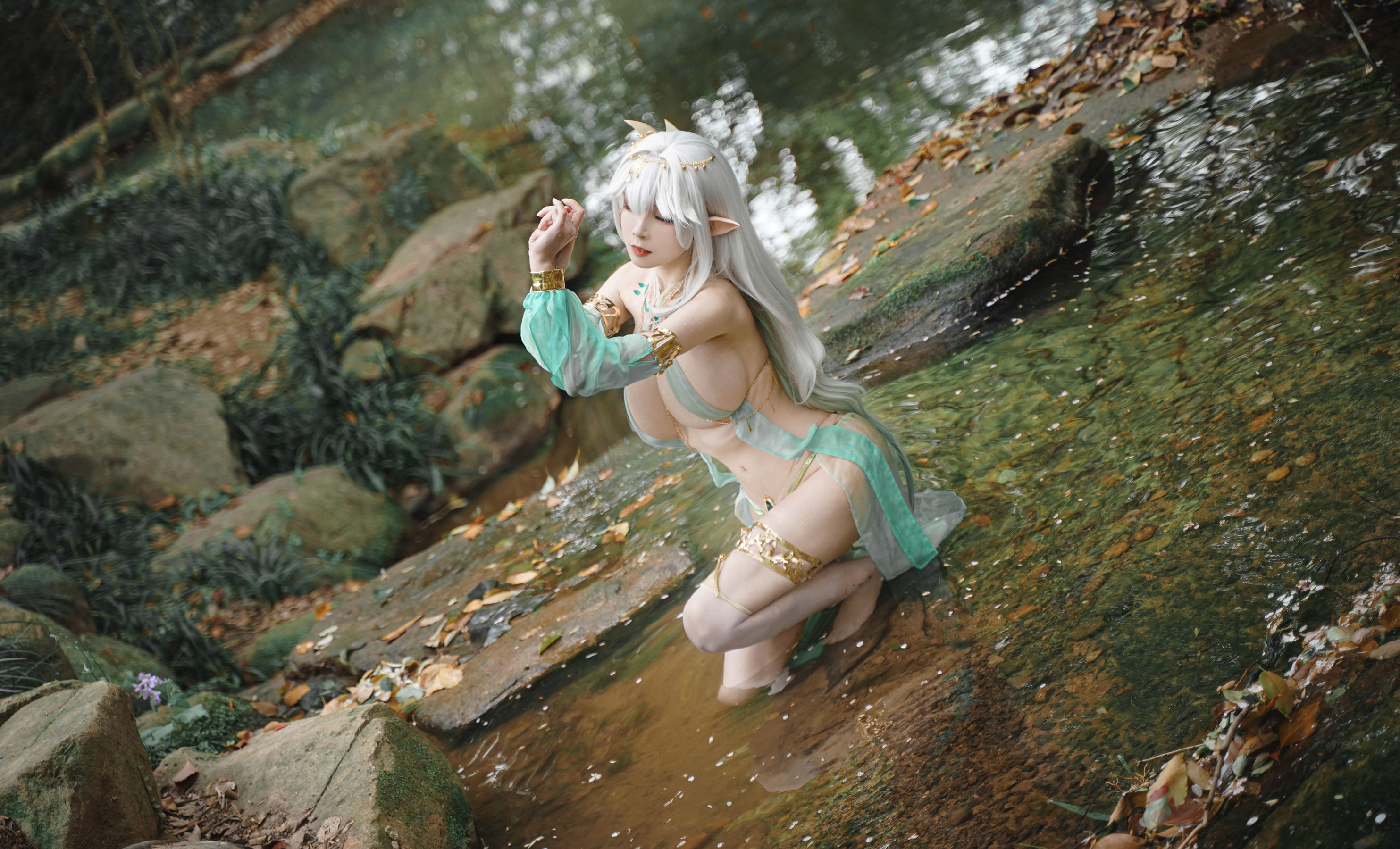 动漫博主 爱老师_PhD - 大慈树王/(50P)