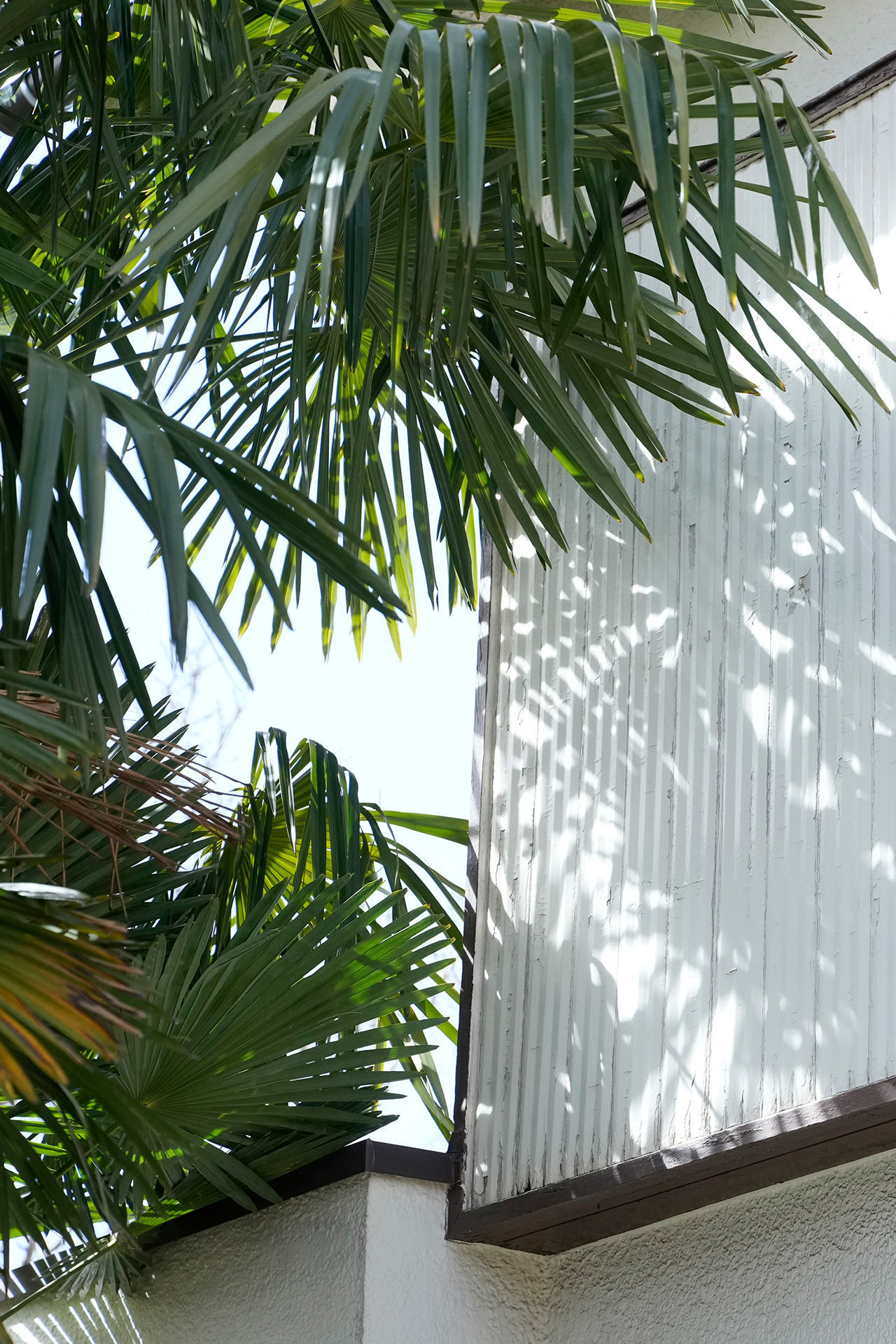 北野瑠華 - 恥じらうカラダ/(84P)