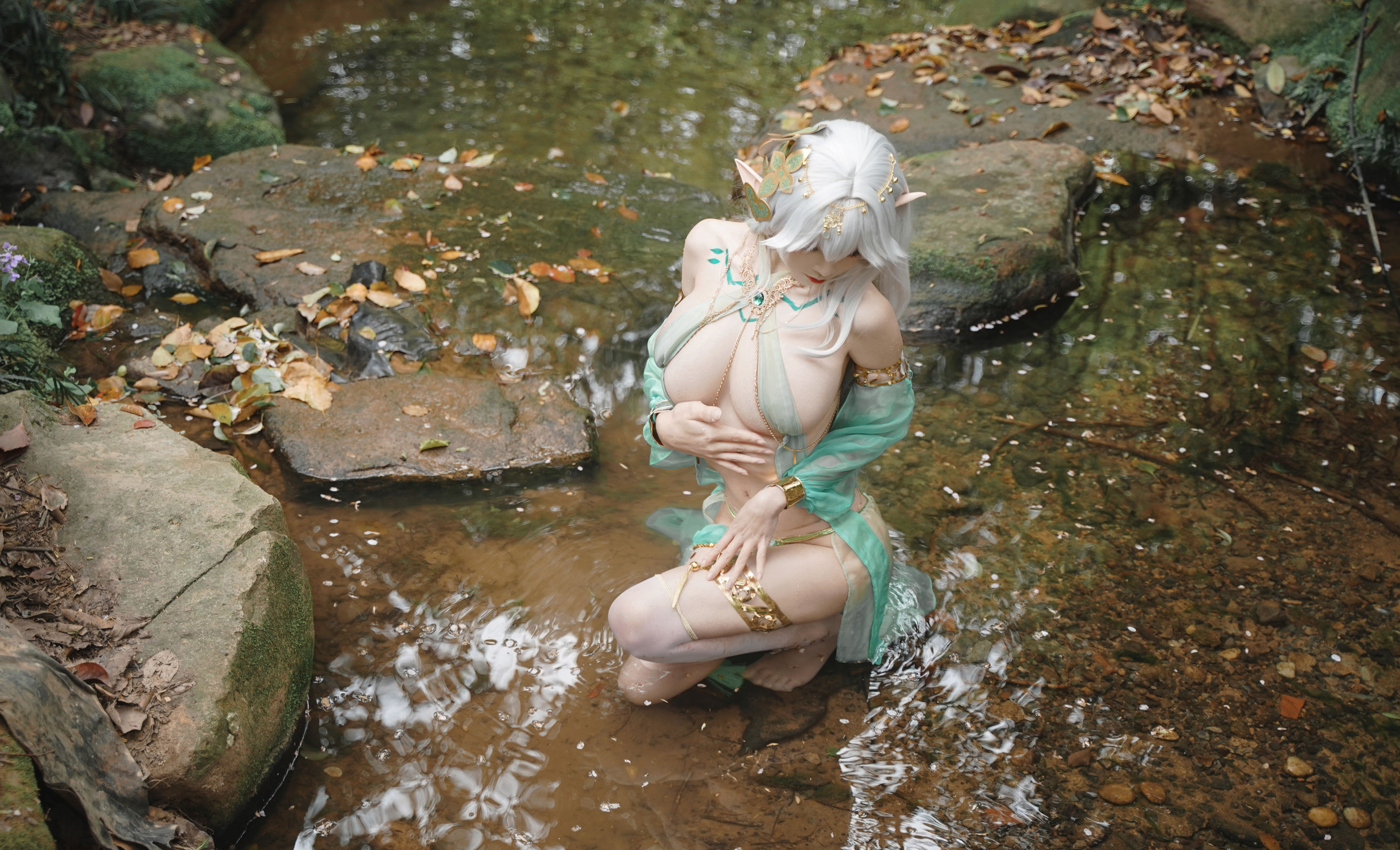 动漫博主 爱老师_PhD - 大慈树王/(50P)