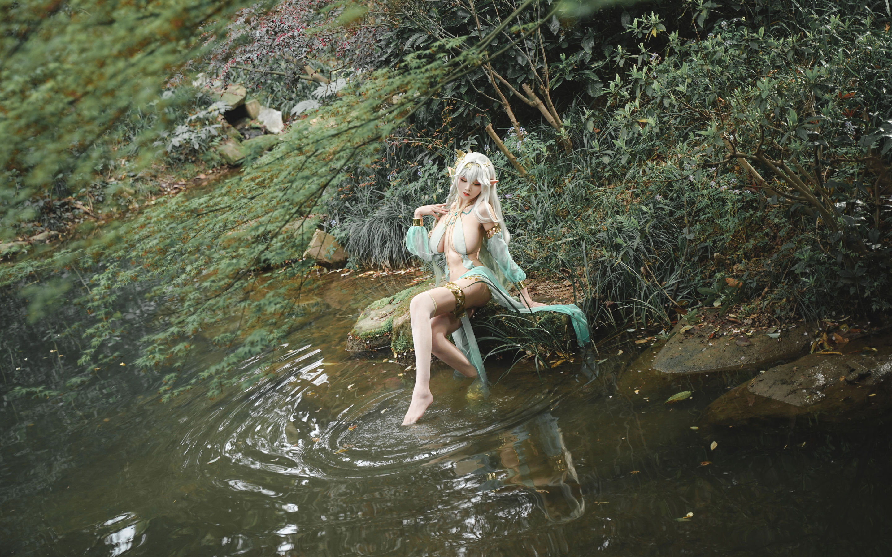 动漫博主 爱老师_PhD - 大慈树王/(50P)