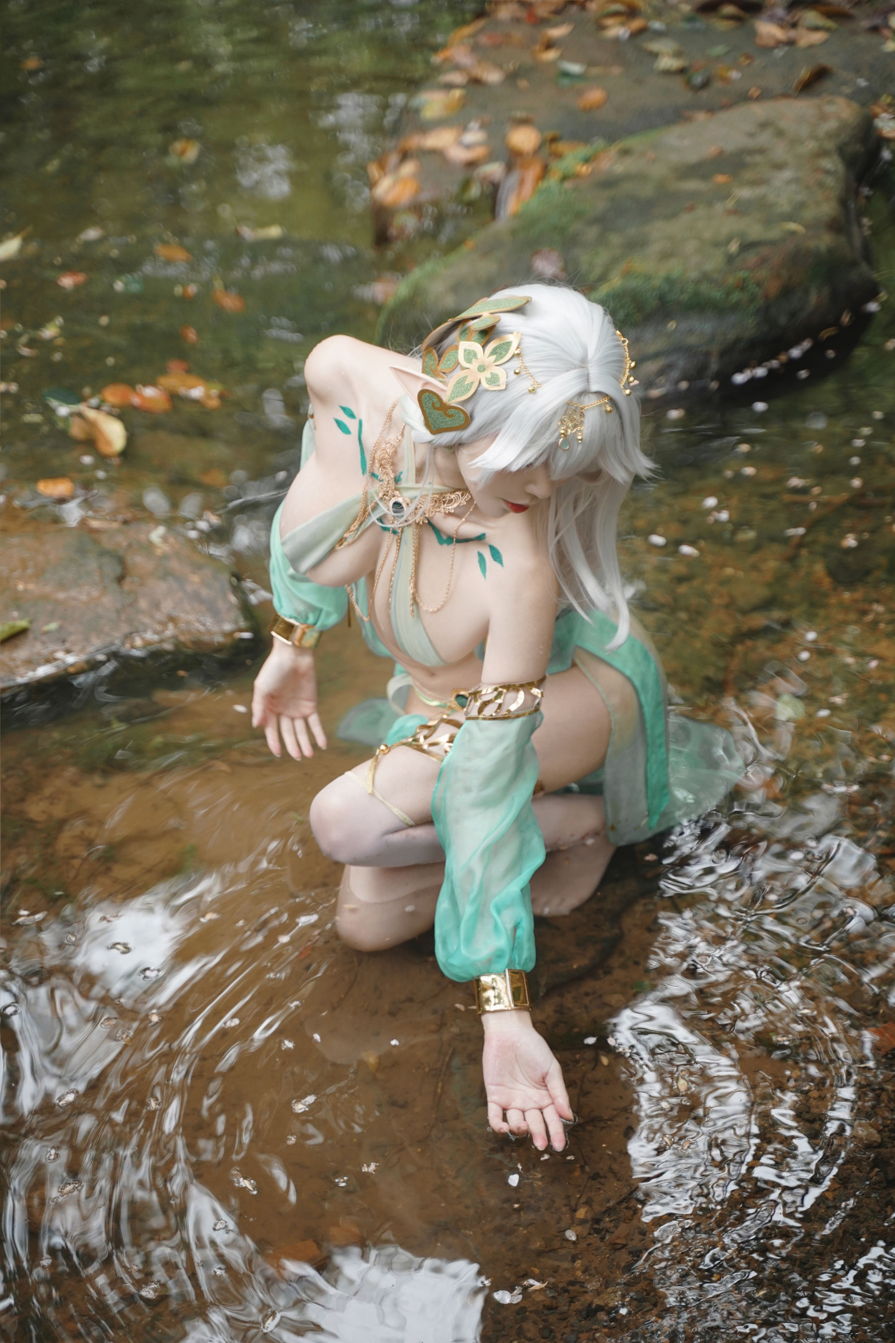 动漫博主 爱老师_PhD - 大慈树王/(50P)