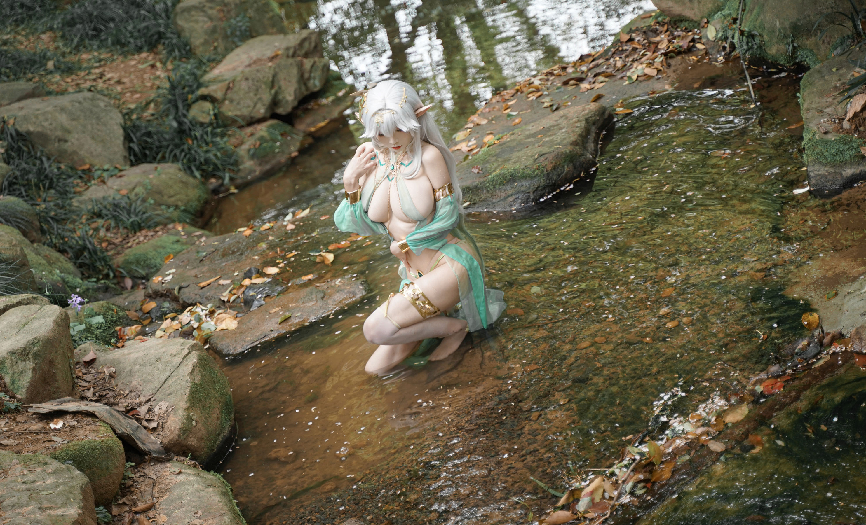 动漫博主 爱老师_PhD - 大慈树王/(50P)