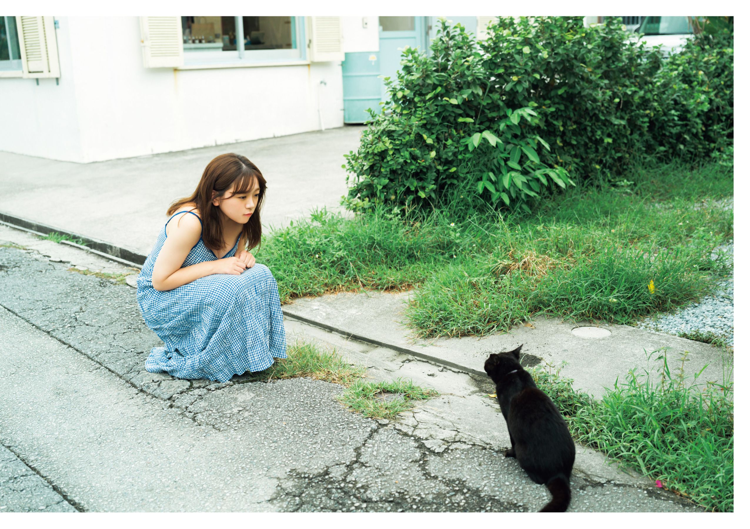 武田智加 - 友達以上/(89P)