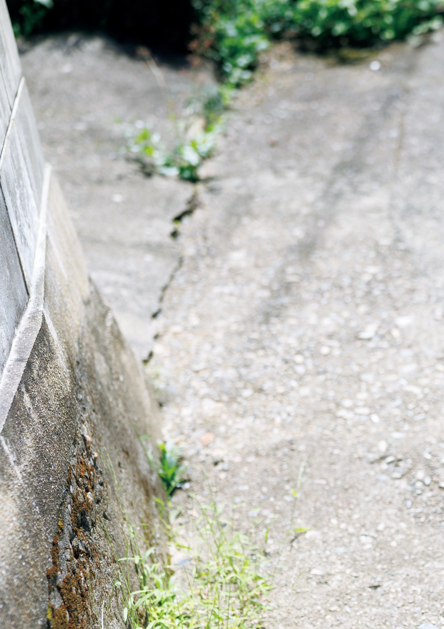 志田音々- 音色 cantabile 長崎 五島列島編/(126P)