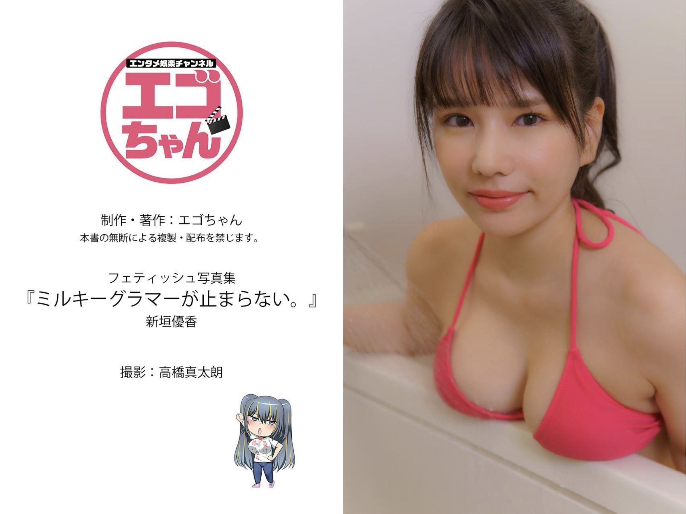 新垣優香 - ミルキーグラマーが止まらない/(108P)