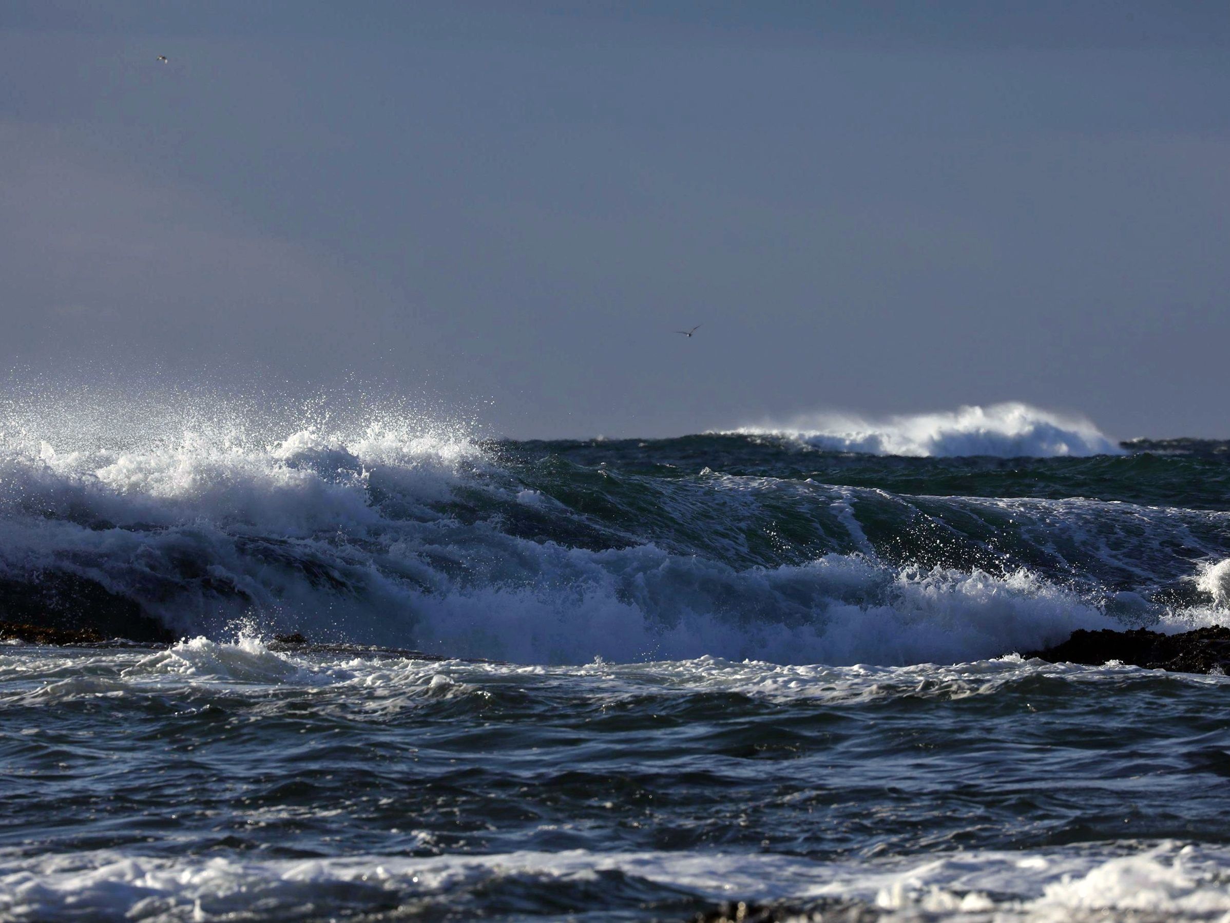 岡元あつこ - ギュッと抱きしめて/(54P)