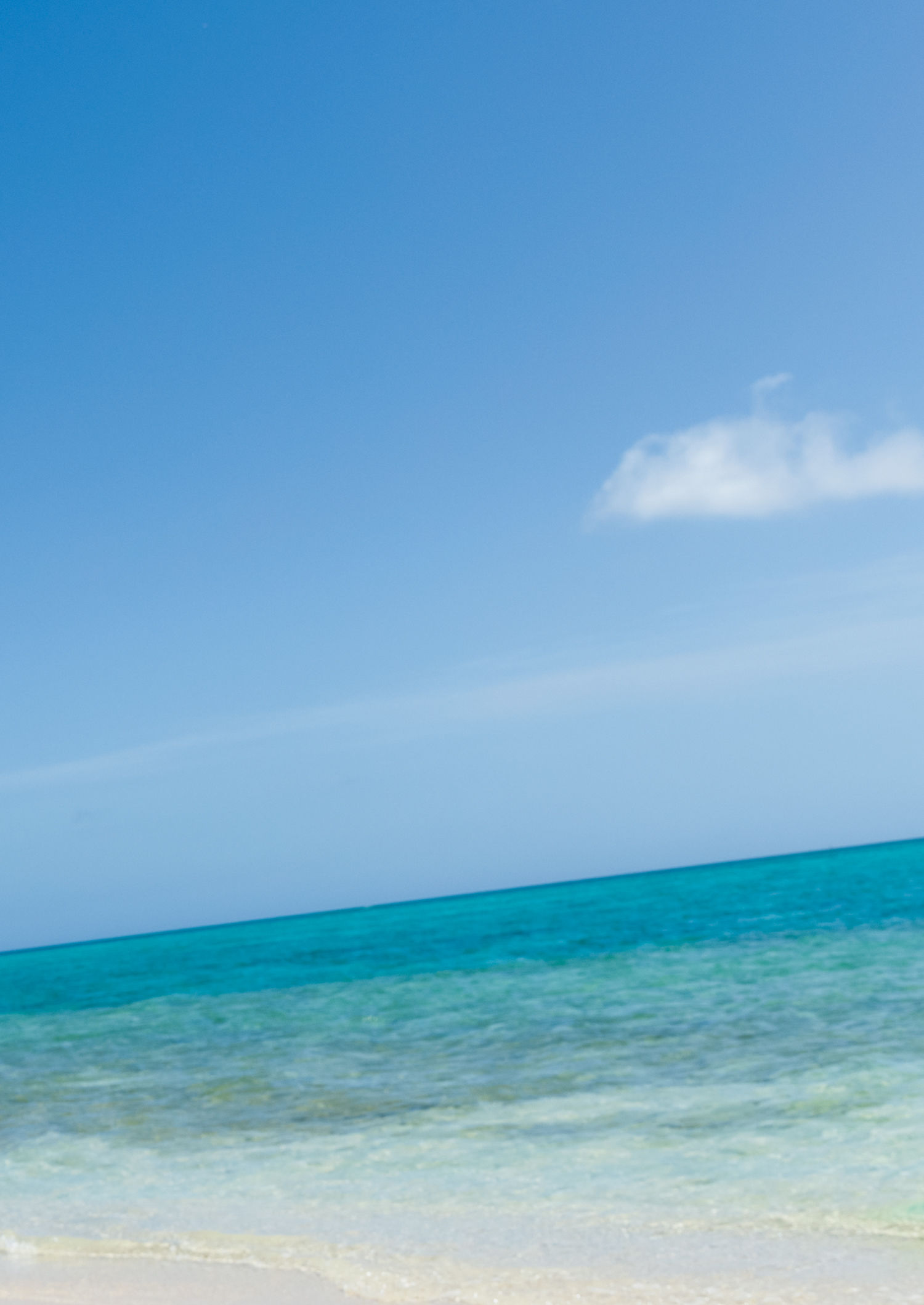 柏木由紀 - Time Capsule/(283P)