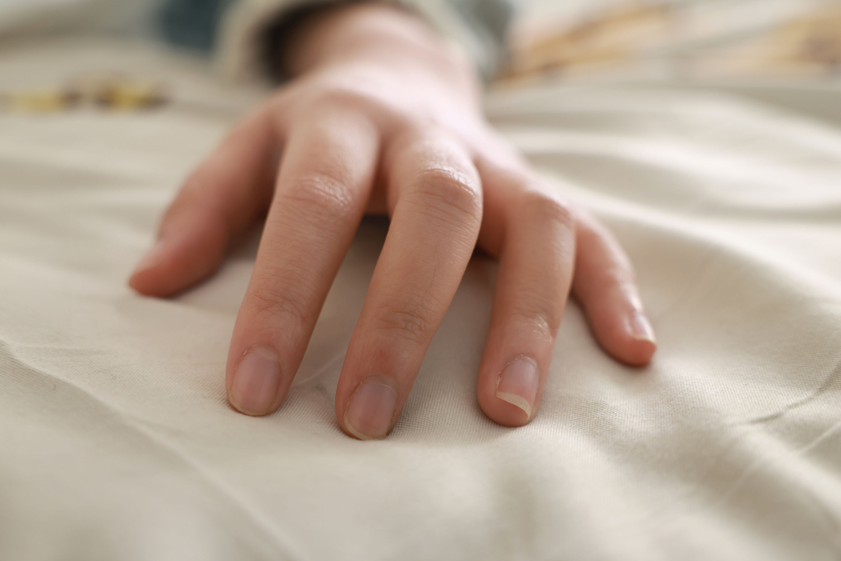 她们印象 No.002 小点心/(113P)