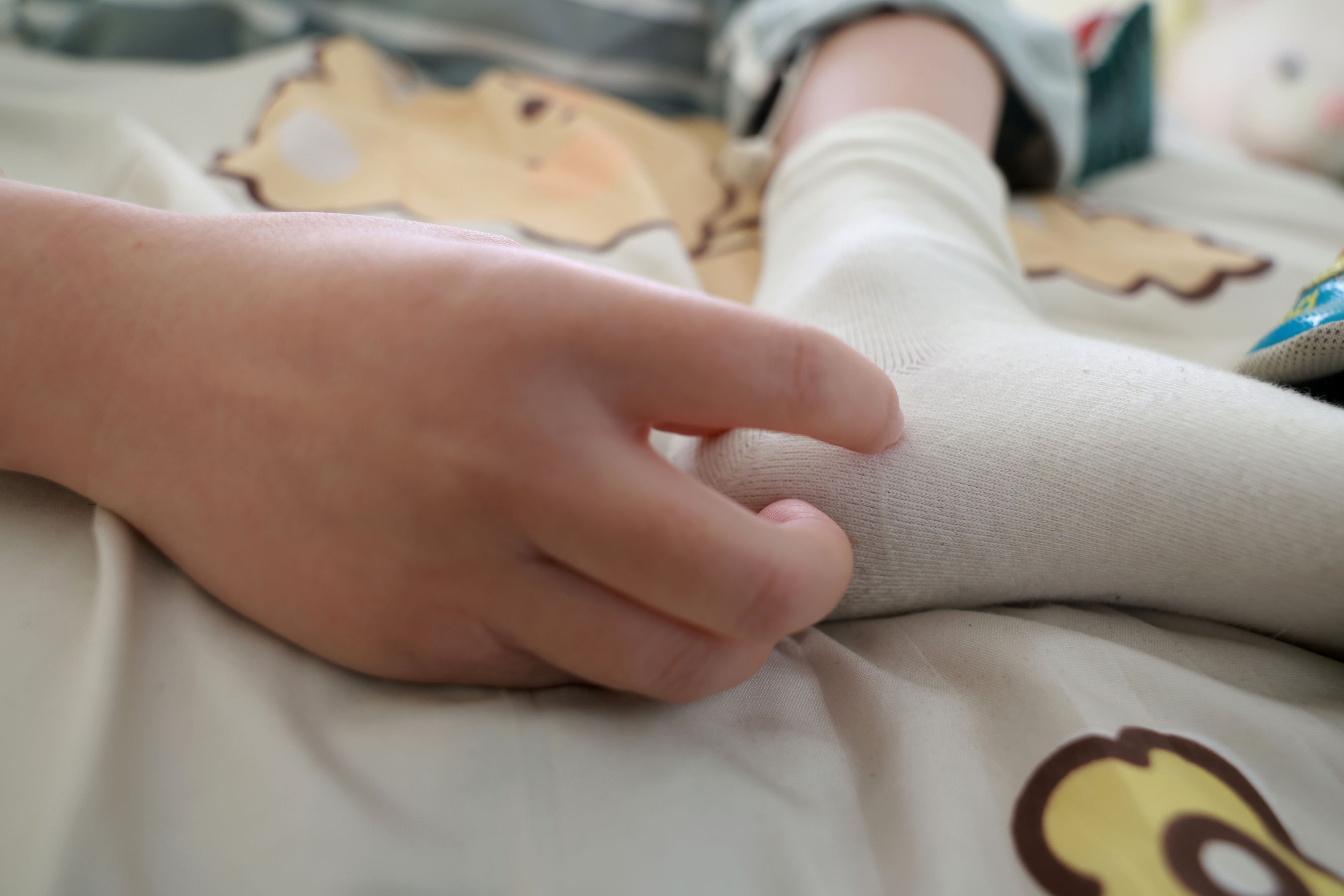 她们印象 No.002 小点心/(113P)