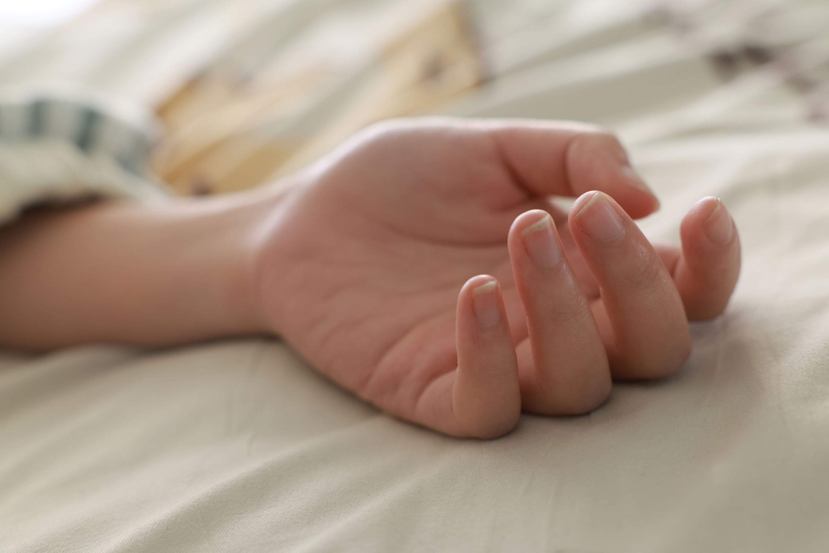 她们印象 No.002 小点心/(113P)