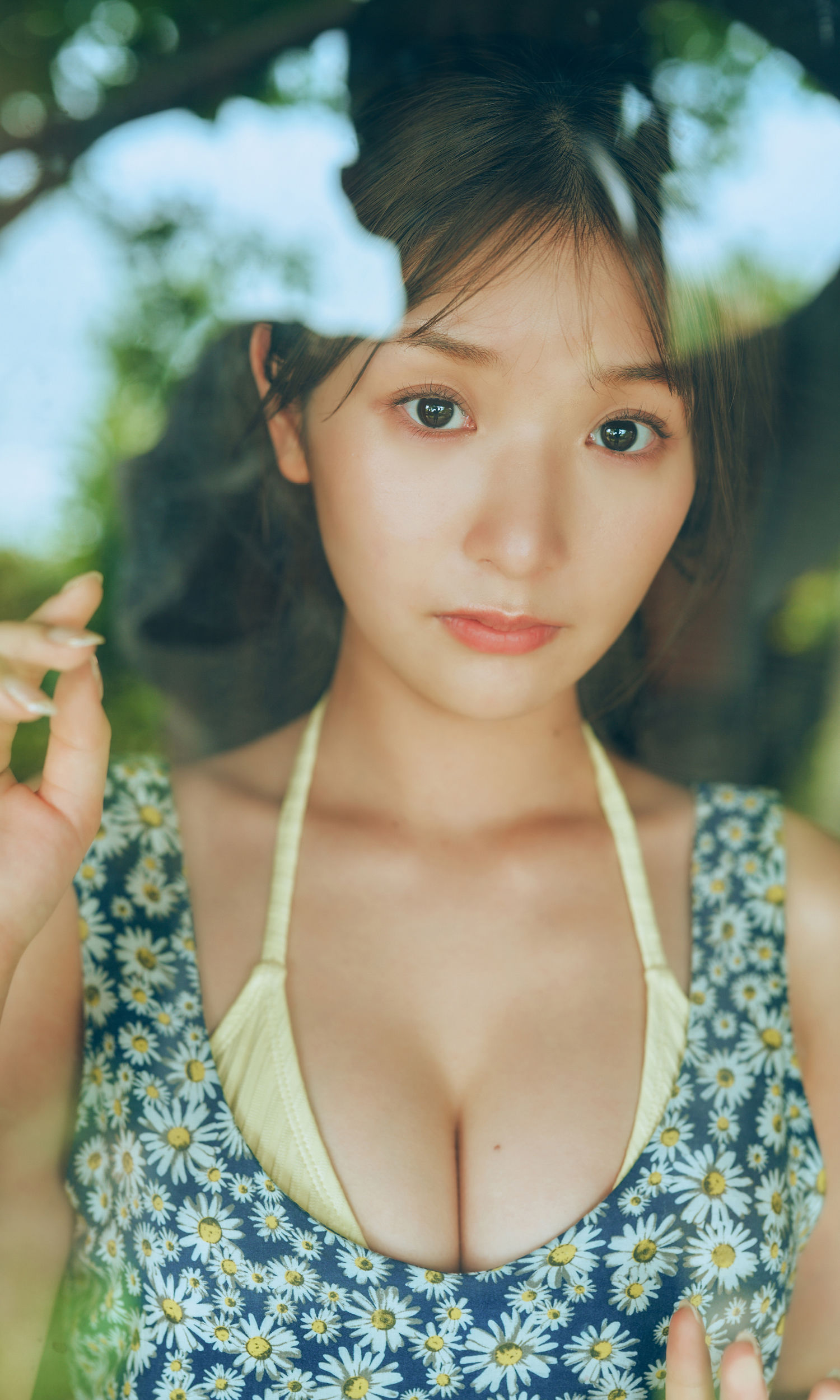 藤園麗 - FLY AGAIN/(66P)