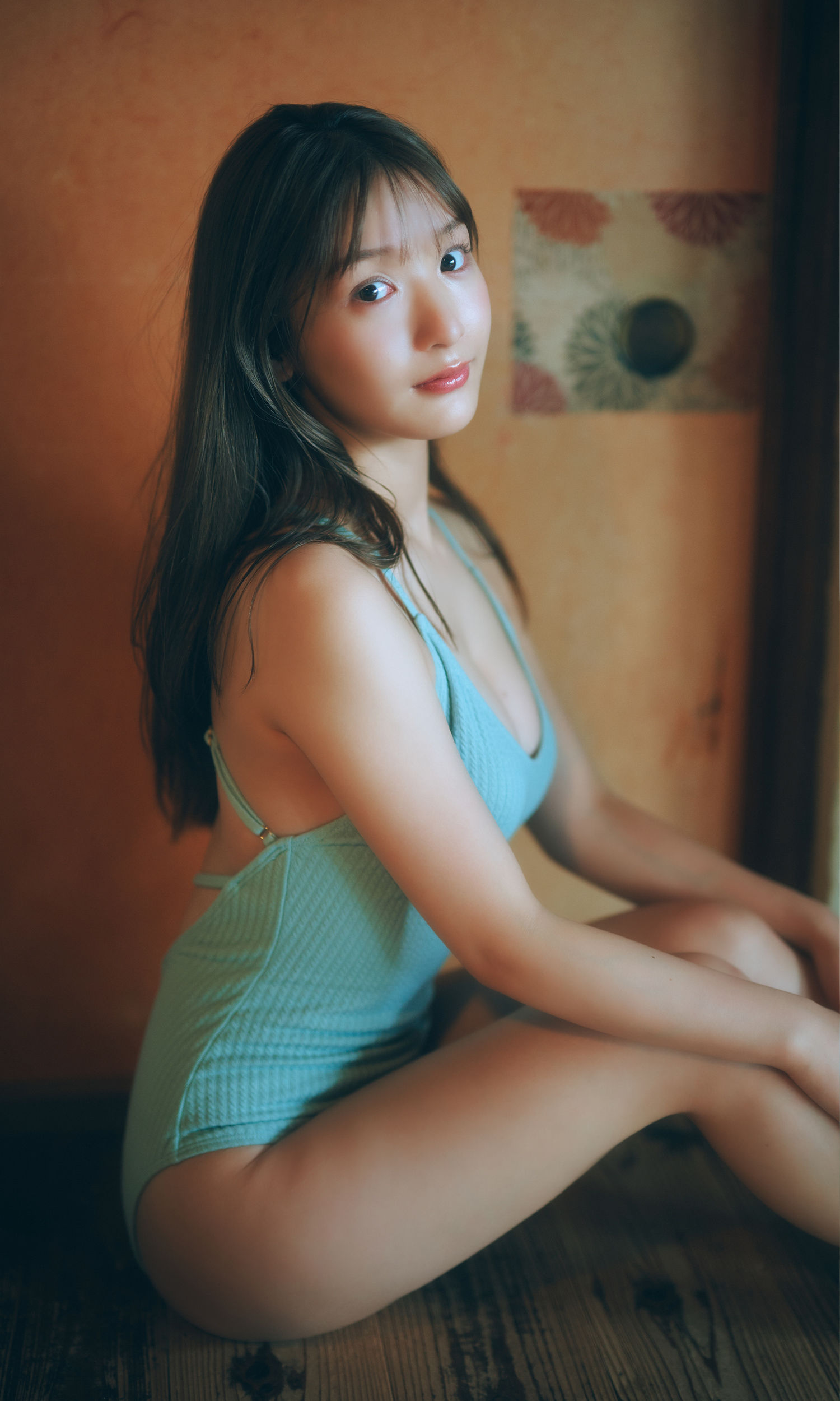 藤園麗 - FLY AGAIN/(66P)