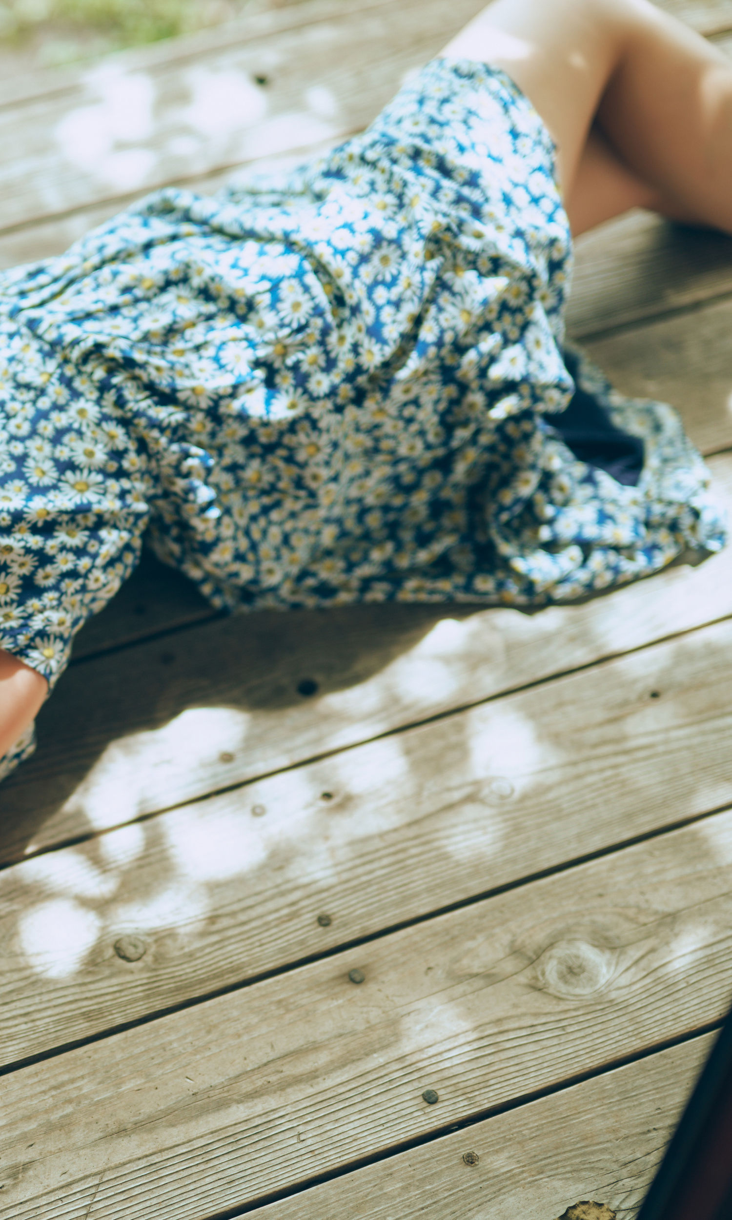 藤園麗 - FLY AGAIN/(66P)