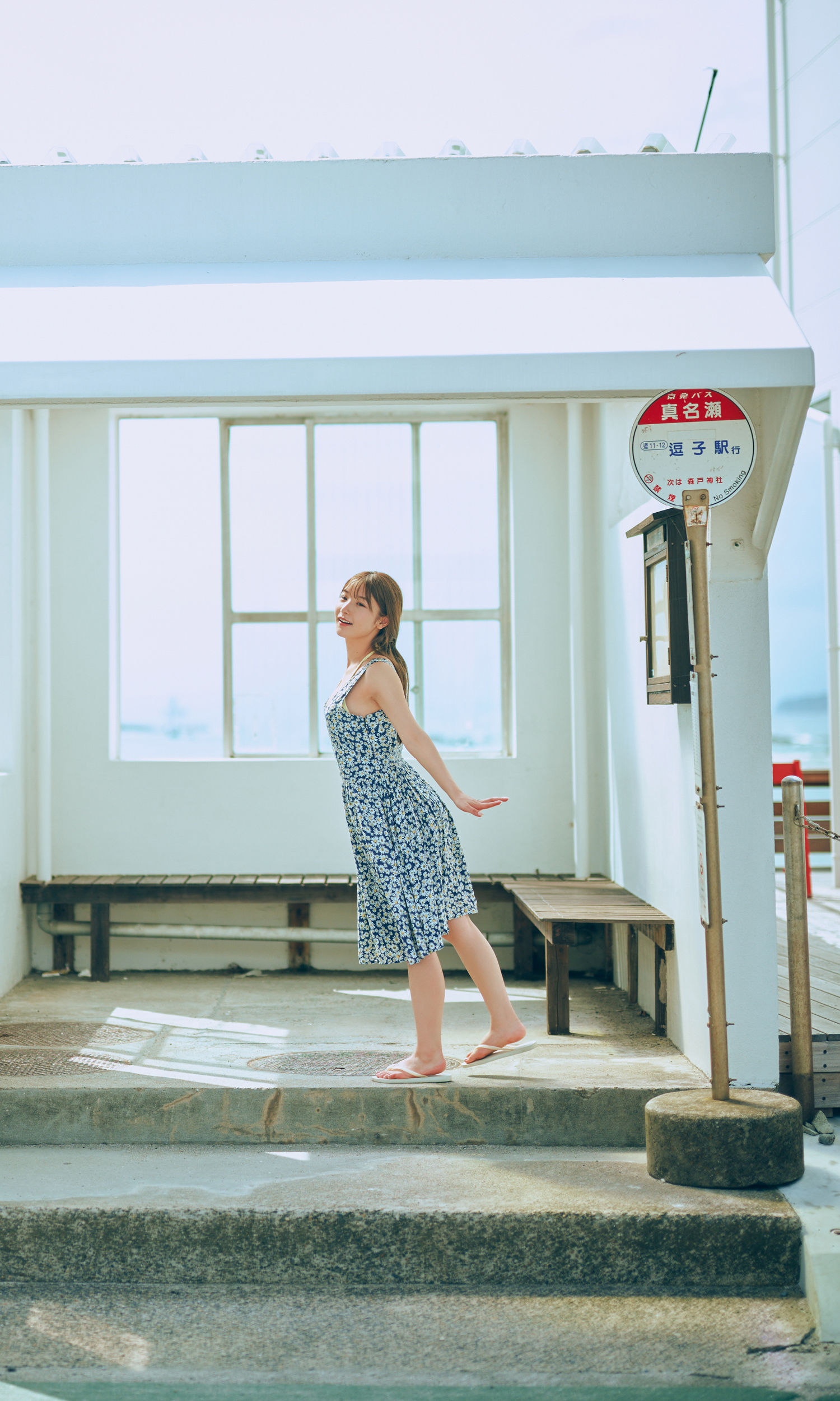 藤園麗 - FLY AGAIN/(66P)