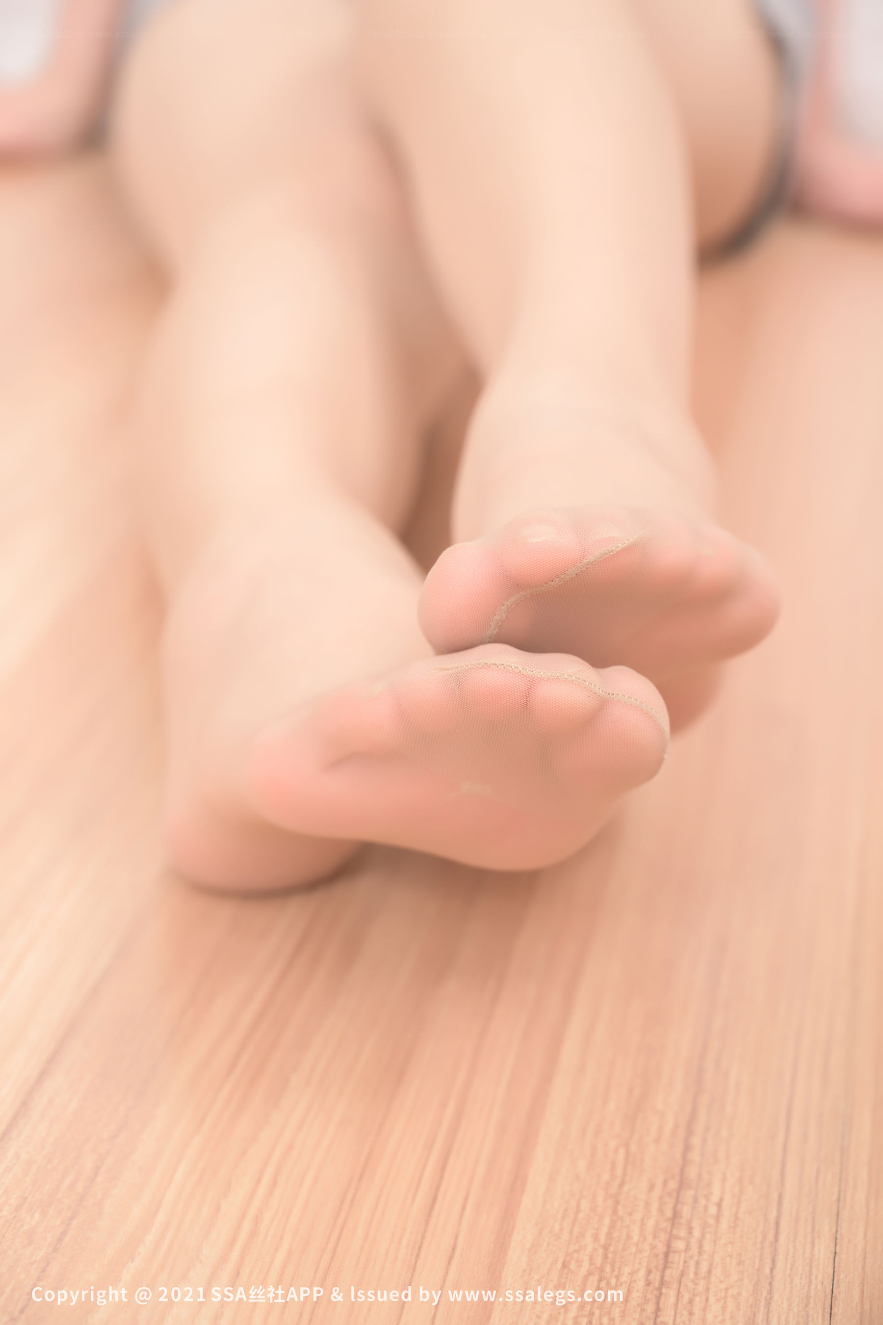 [SSA丝社]超清写真 No.803 模特 桃子 的SK丝袜脚（下）/(109P)