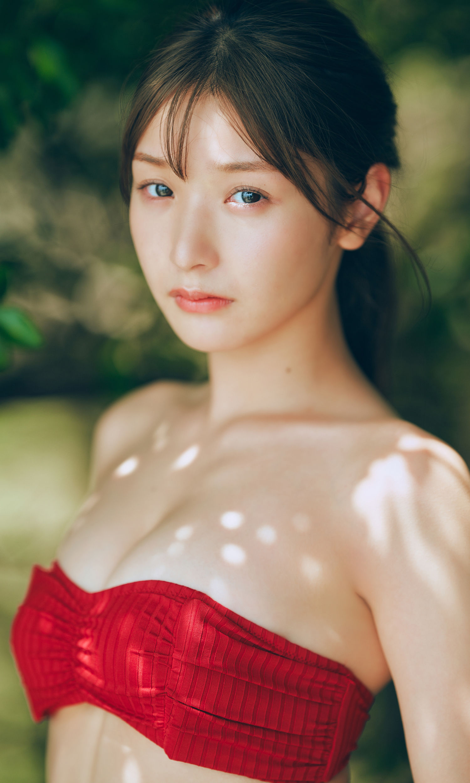 藤園麗 - FLY AGAIN/(66P)