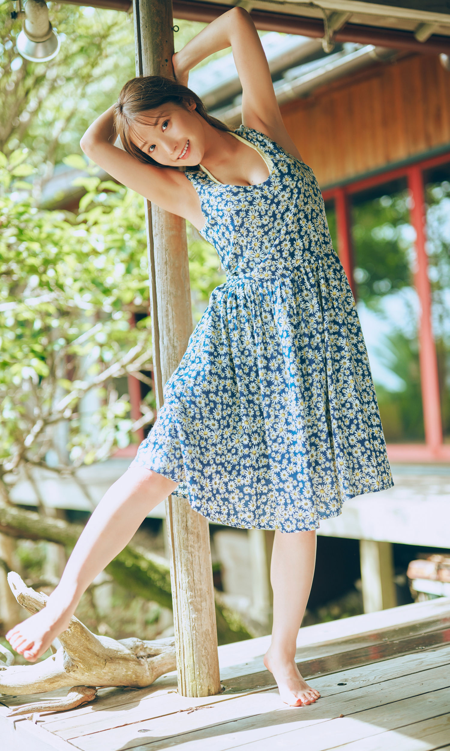 藤園麗 - FLY AGAIN/(66P)