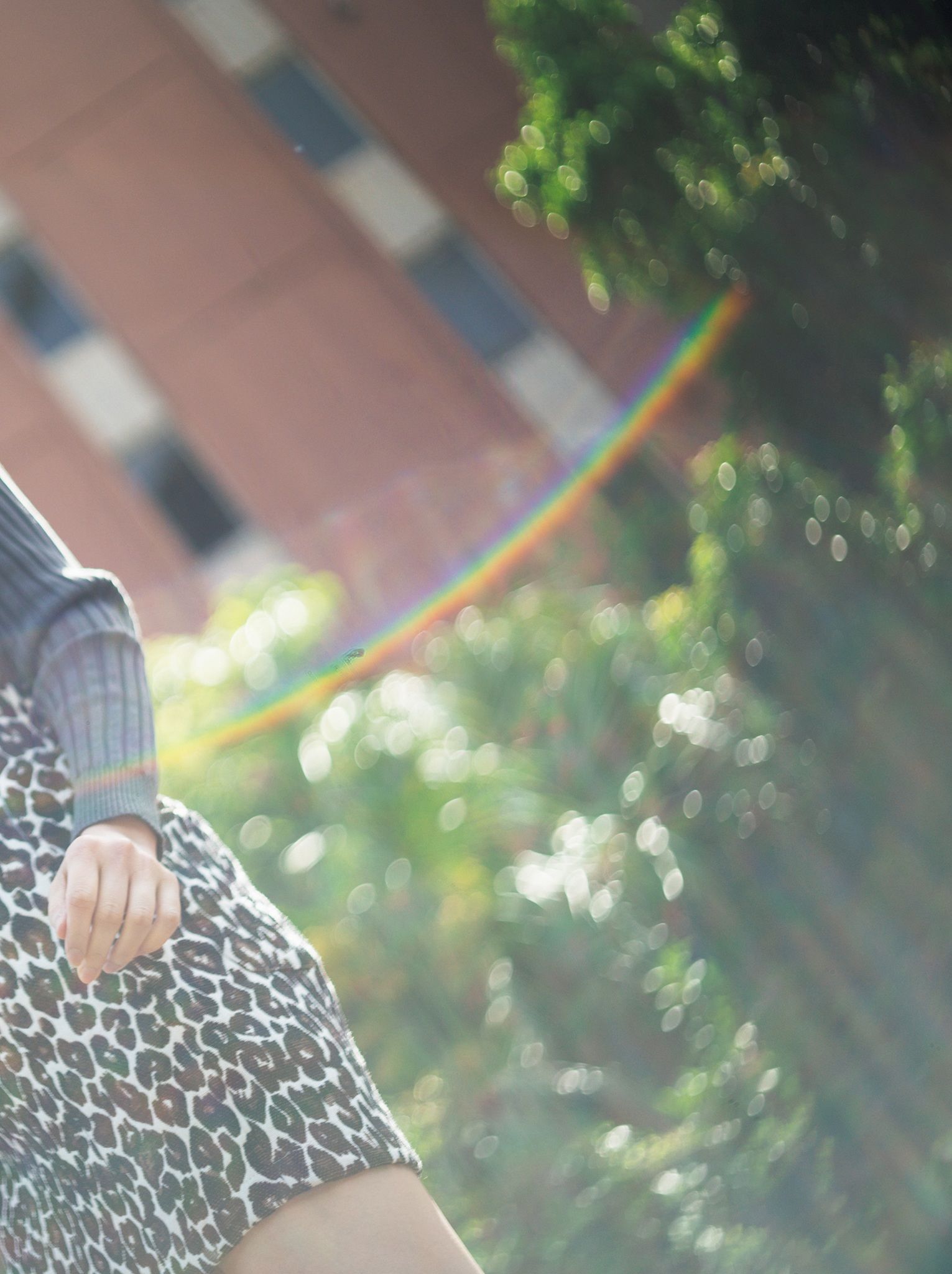 出口亜梨沙 - ESSENCE/(115P)