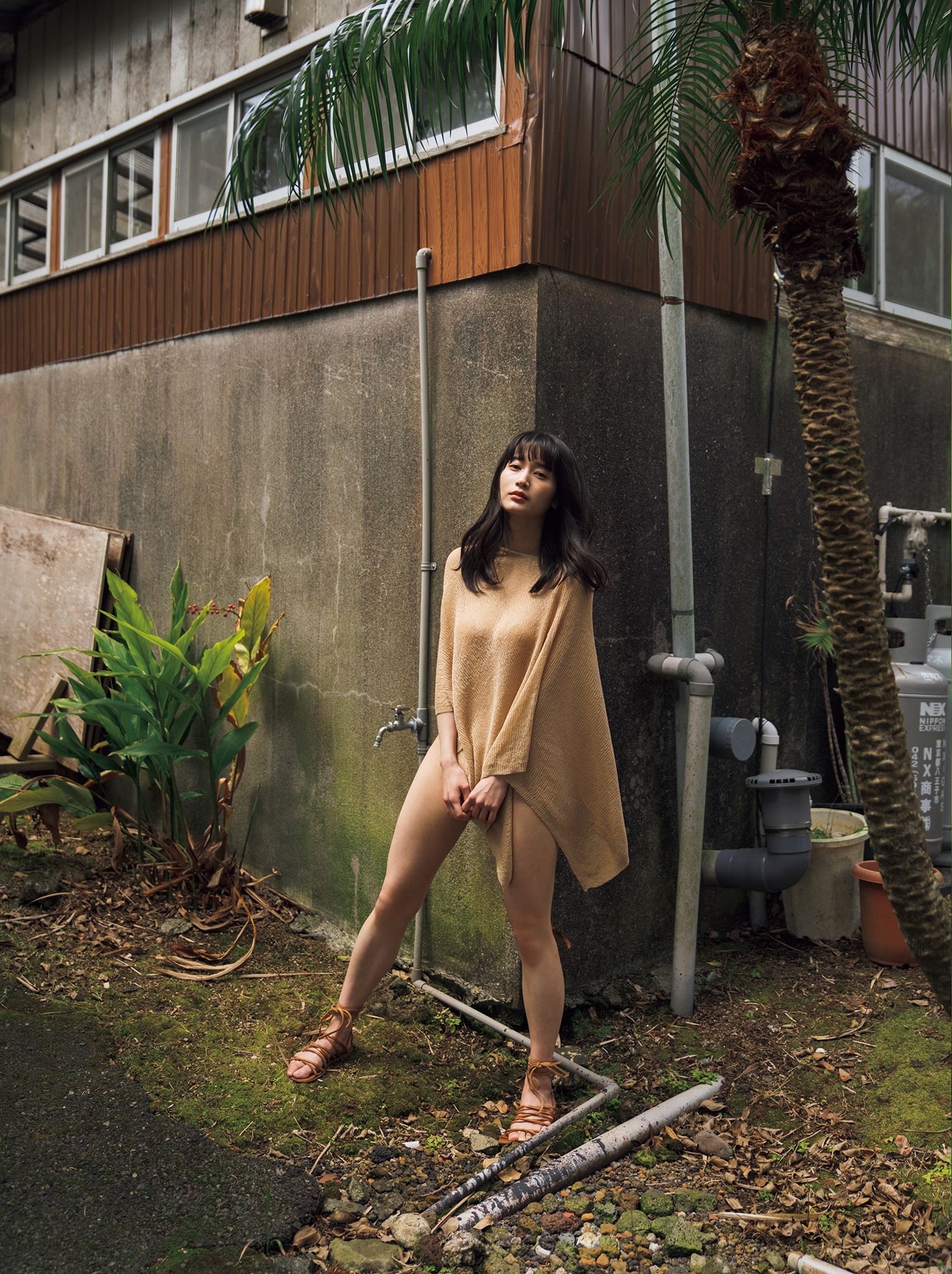 出口亜梨沙 - ESSENCE/(115P)