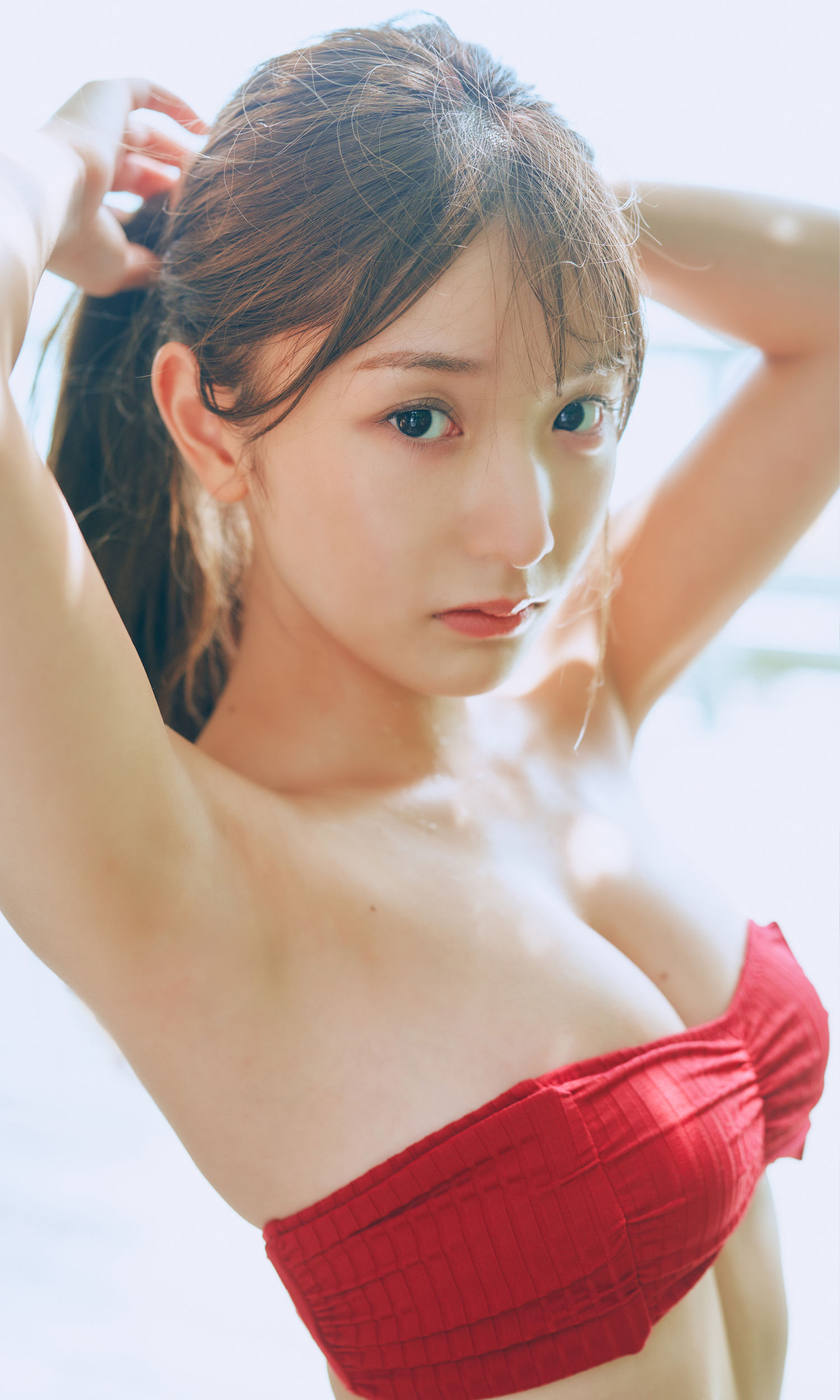 藤園麗 - FLY AGAIN/(66P)