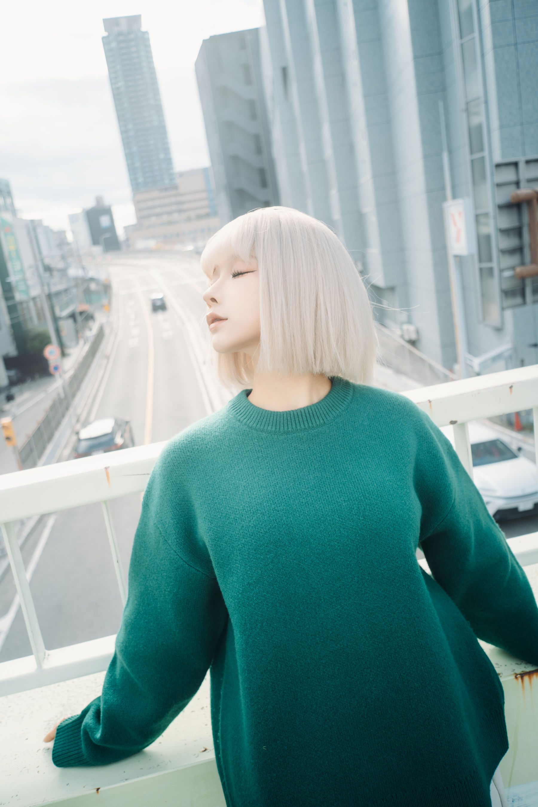 动漫博主蠢沫沫 - 秋寻(上）/(280P)