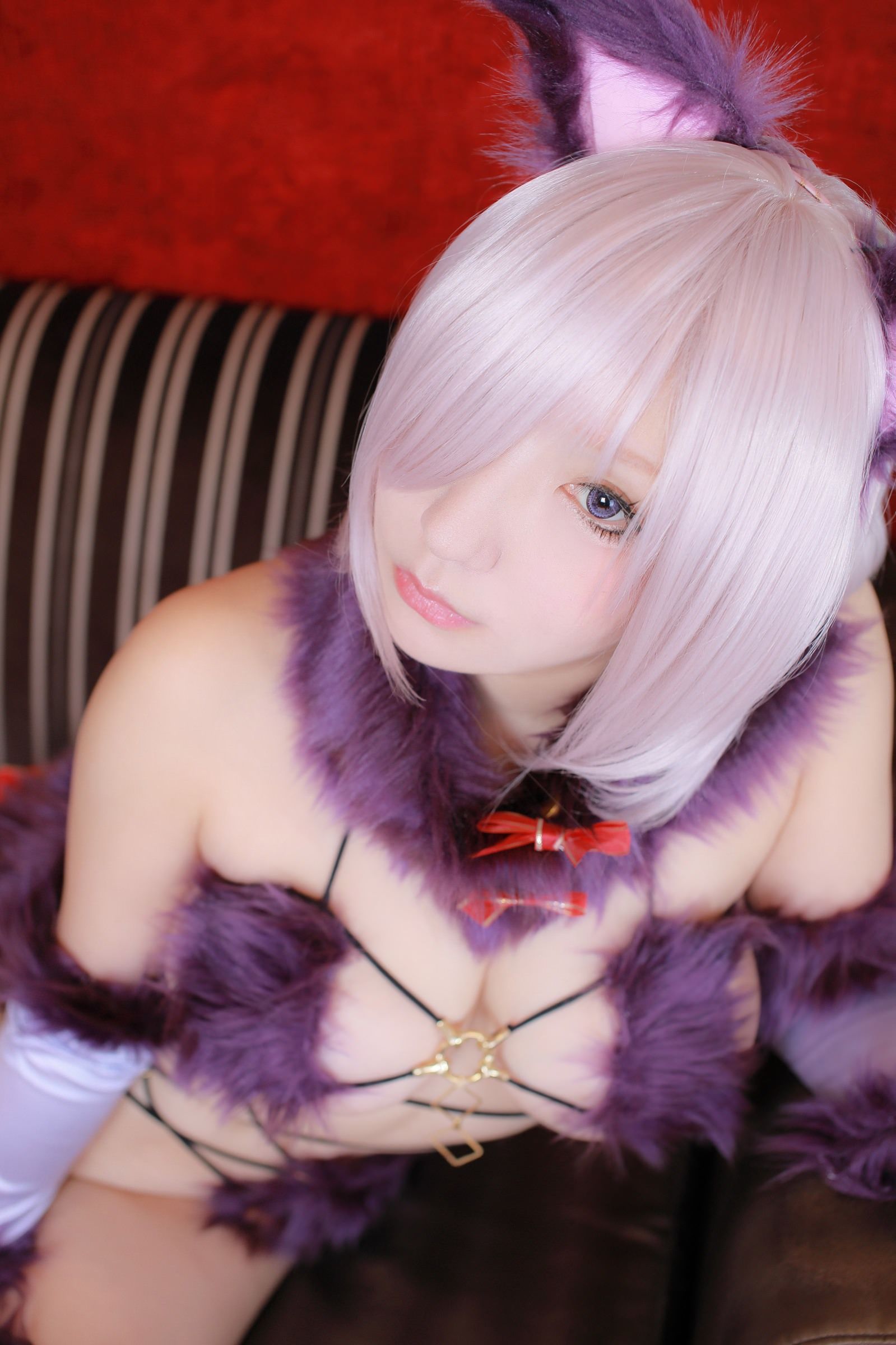 [Cosplay] [Shooting Star's (SAKU サク)] - Dangerous Beast/(266P)