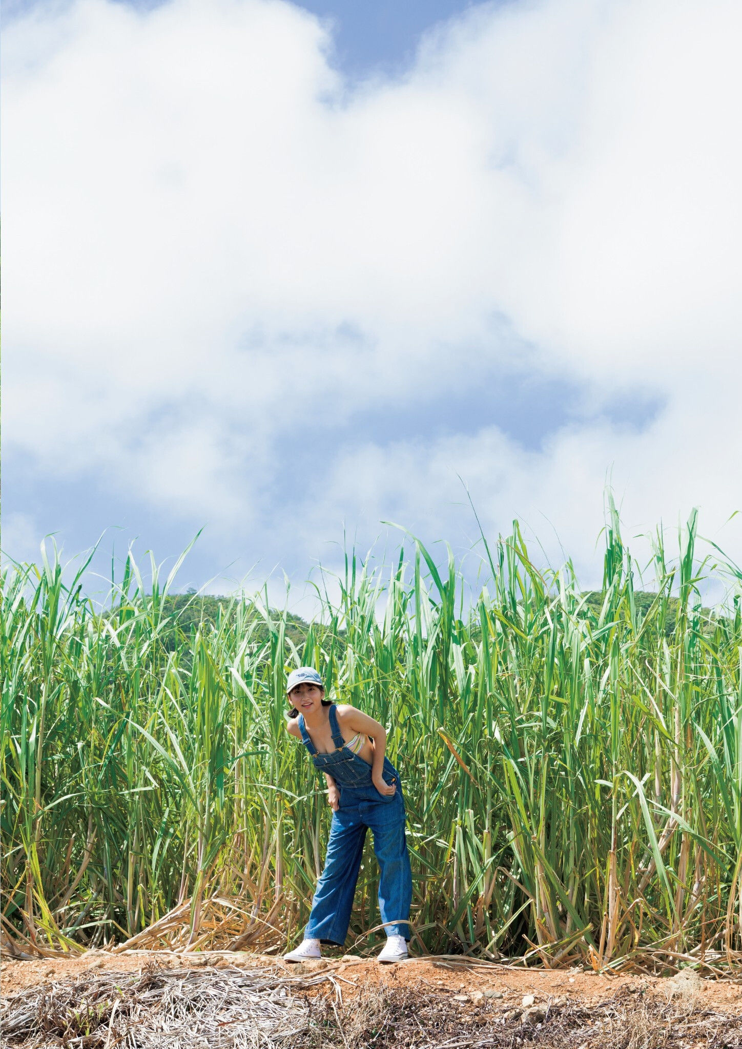 水野瞳 - AKIRA/(143P)