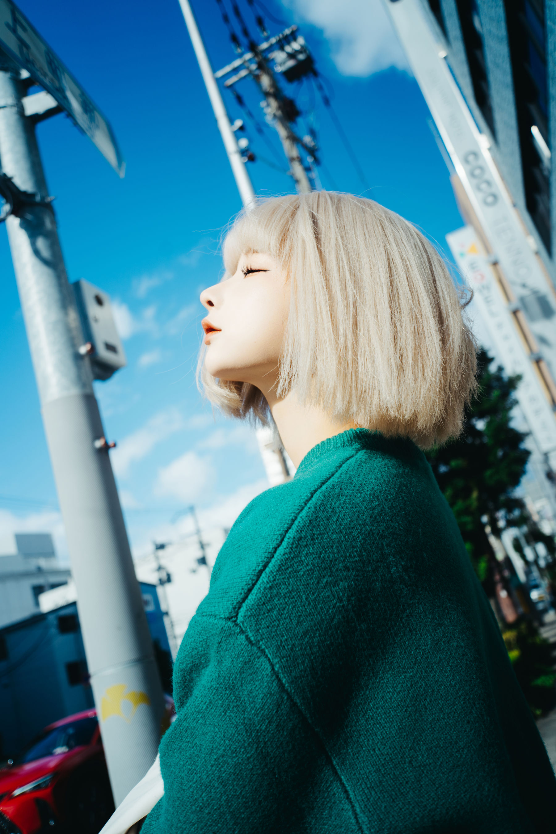 动漫博主蠢沫沫 - 秋寻(上）/(280P)