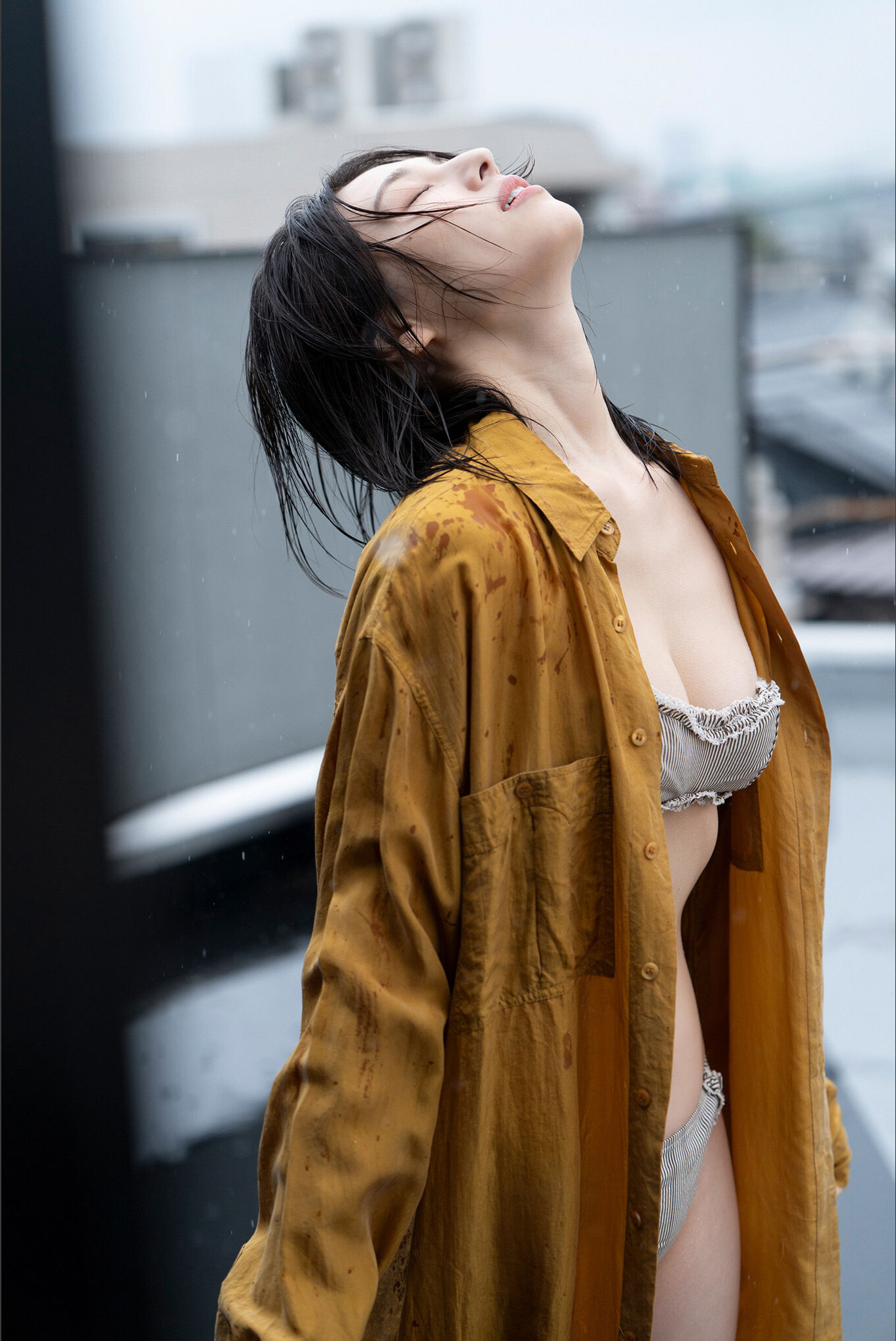 相楽伊織 - 彼女は美バスト/(85P)