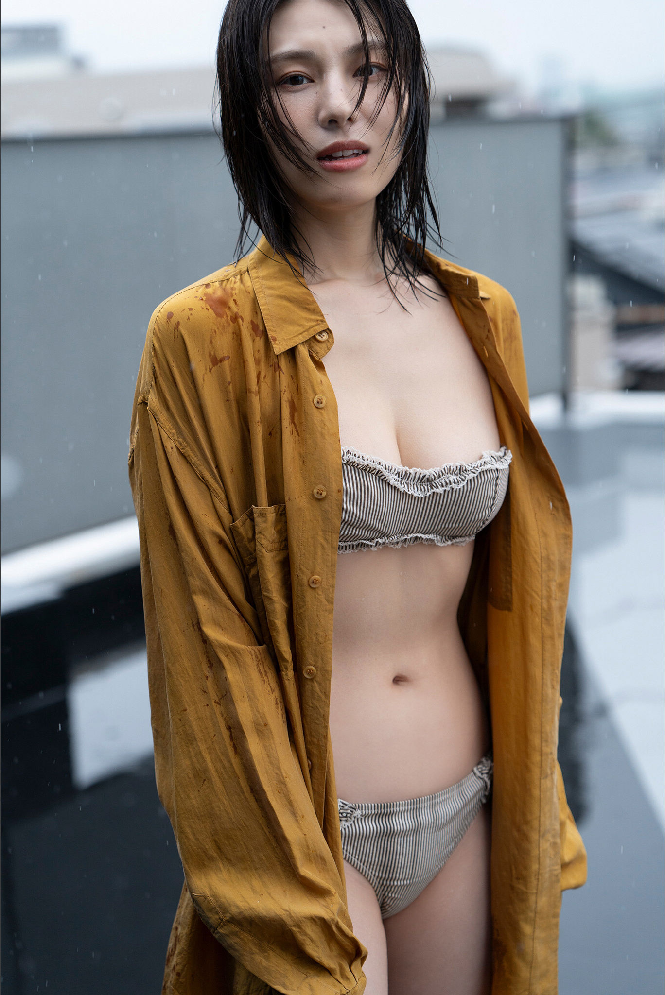 相楽伊織 - 彼女は美バスト/(85P)