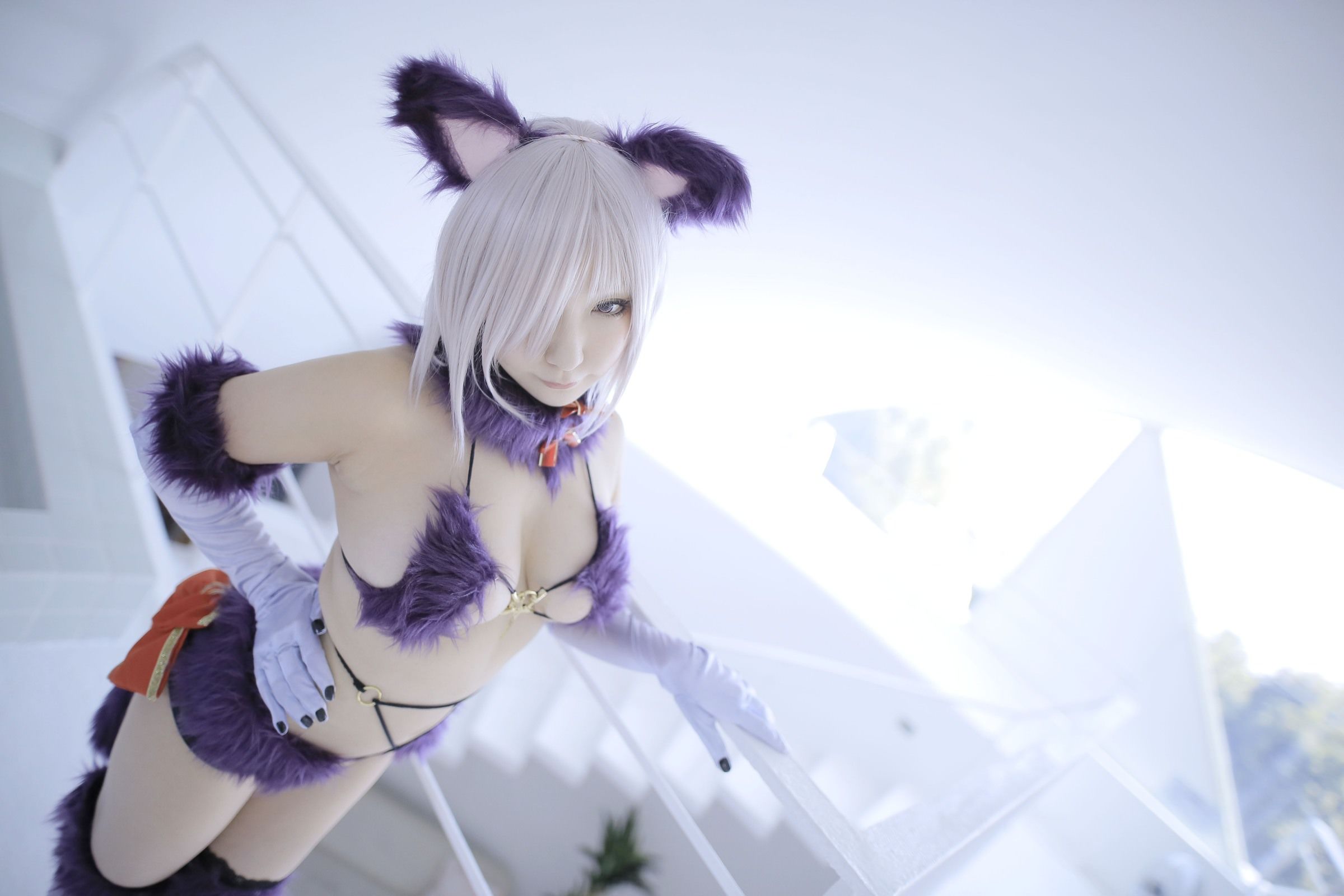 [Cosplay] [Shooting Star's (SAKU サク)] - Dangerous Beast/(266P)