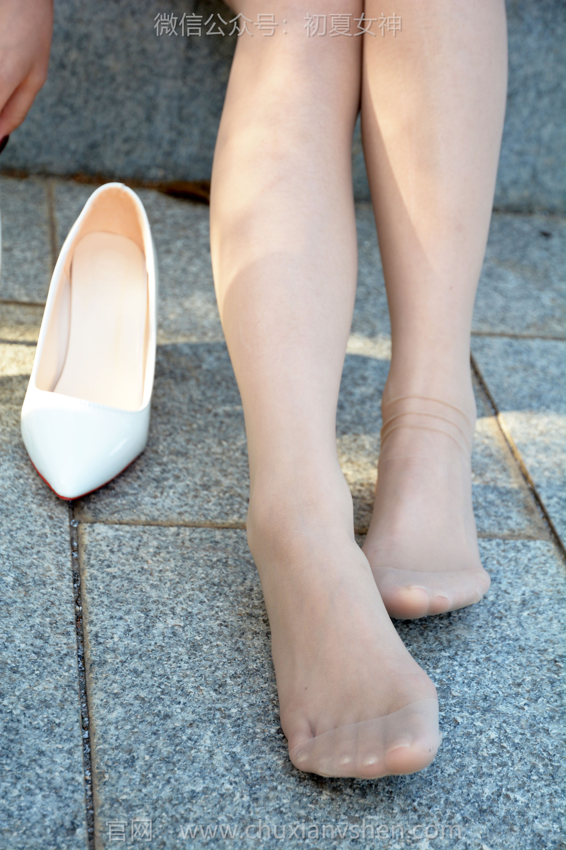 初夏女神 No.282 番茄 多重看法/(100P)