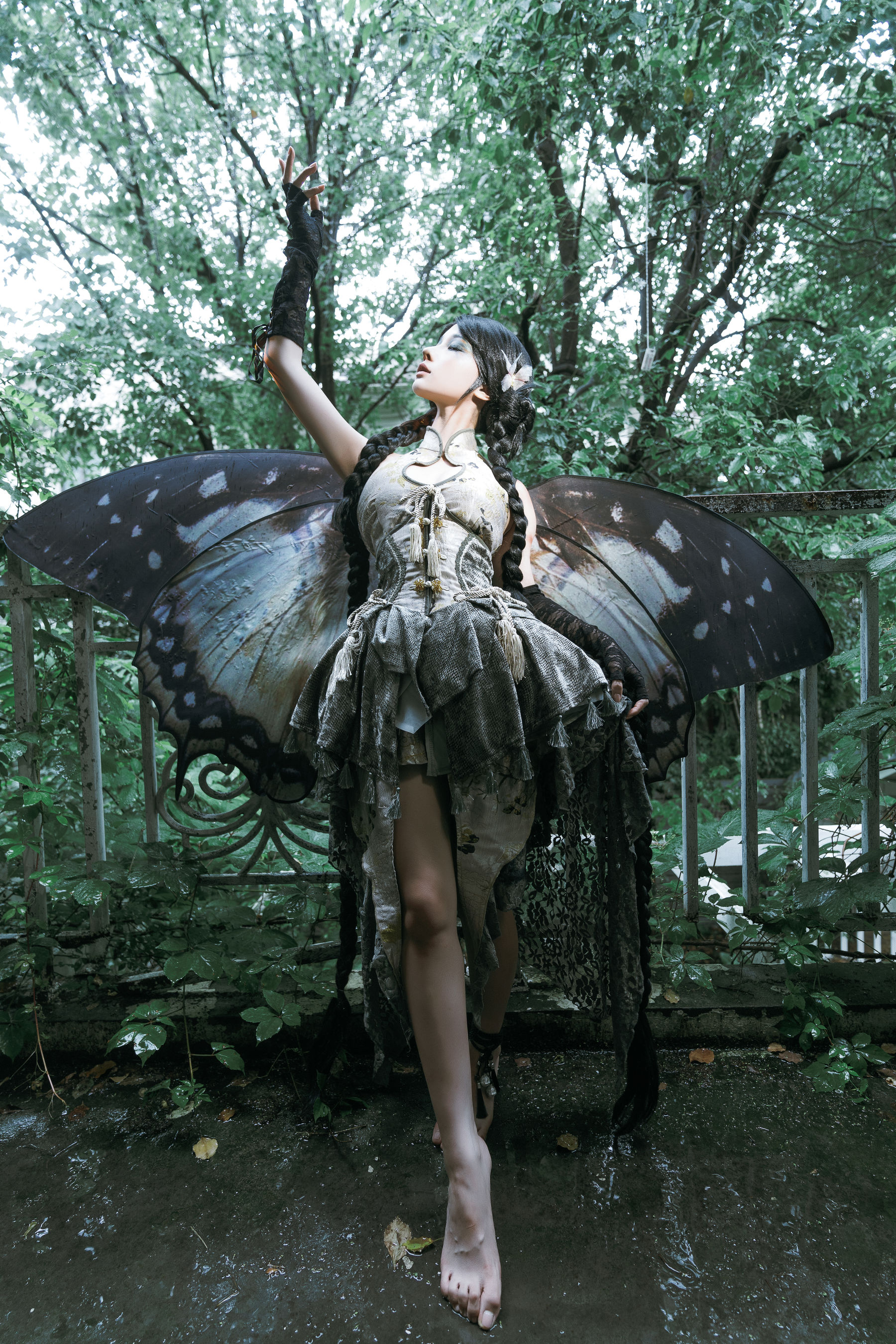 动漫博主蠢沫沫 - 枯叶蝶/(58P)