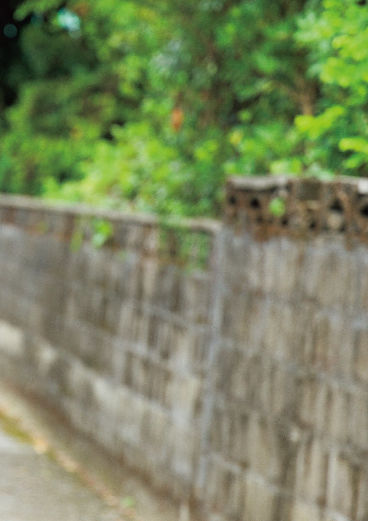 水野瞳 - AKIRA/(143P)