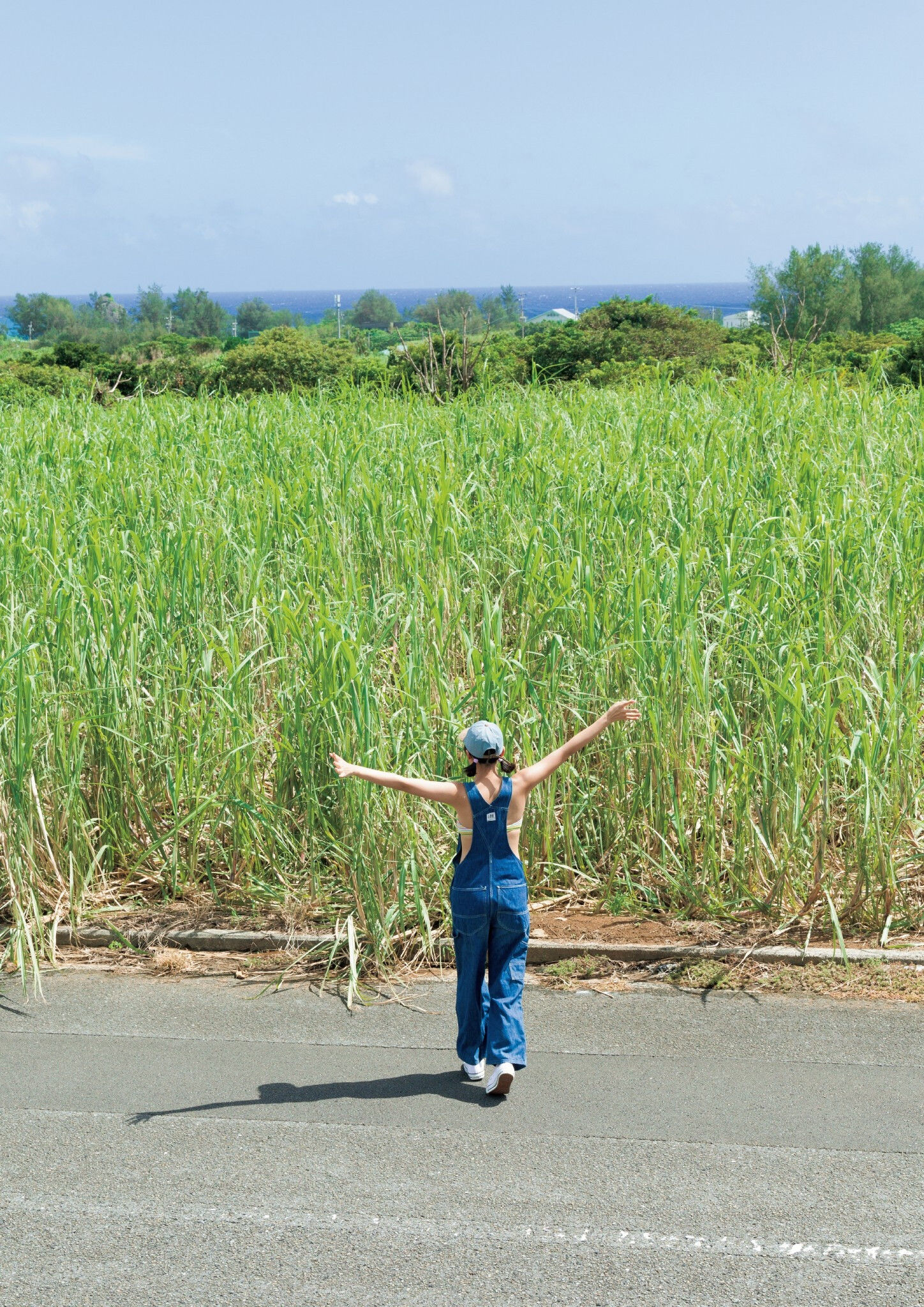 水野瞳 - AKIRA/(143P)