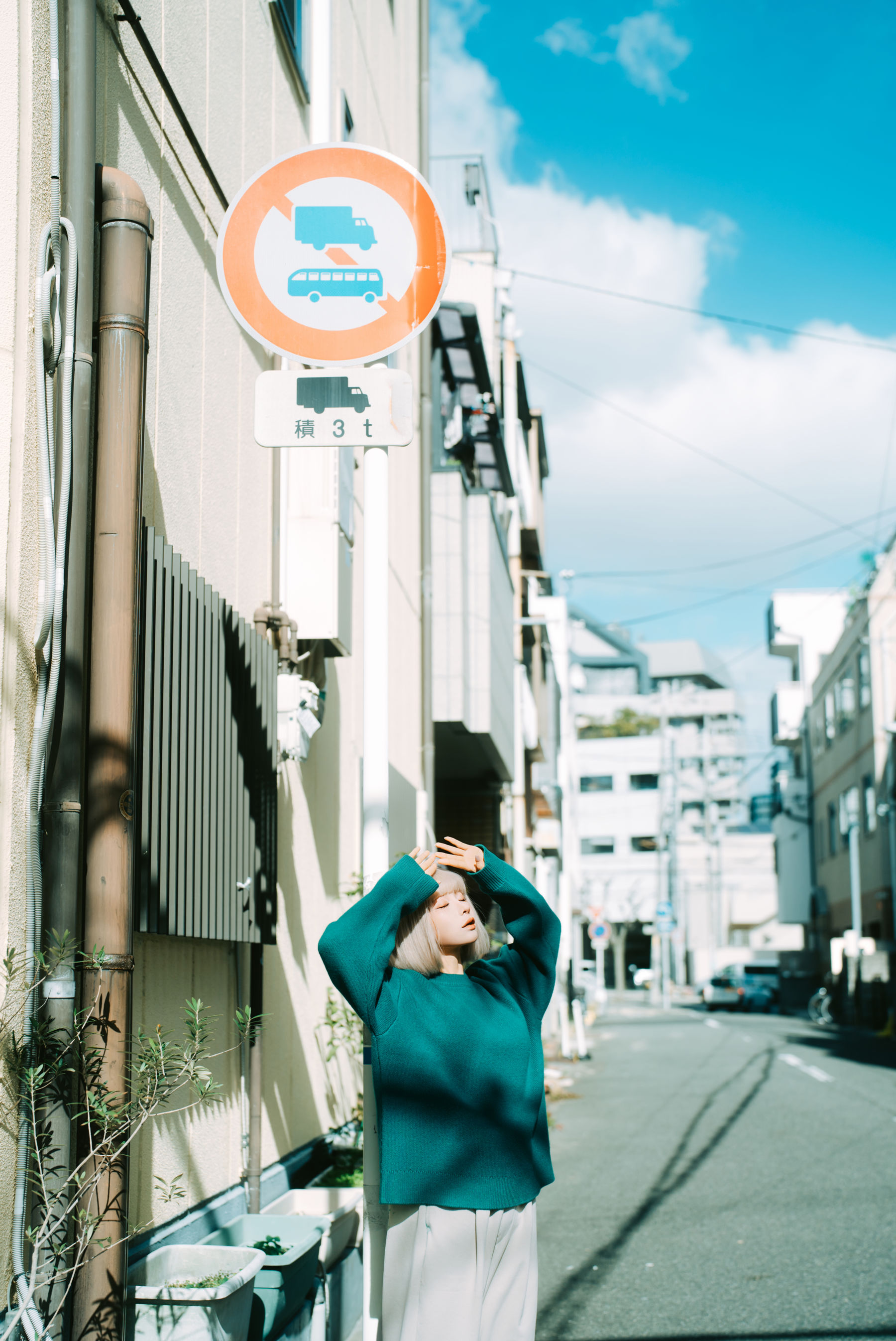 动漫博主蠢沫沫 - 秋寻(上）/(280P)