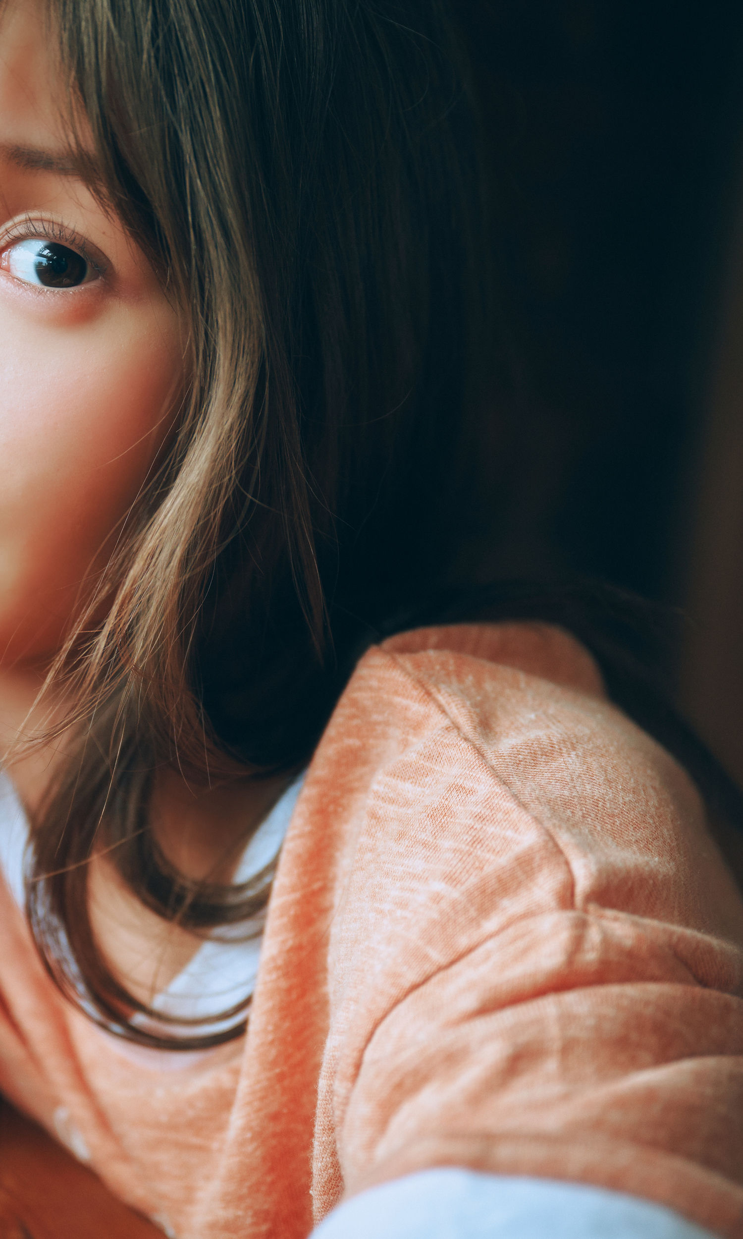 藤園麗 - FLY AGAIN/(66P)